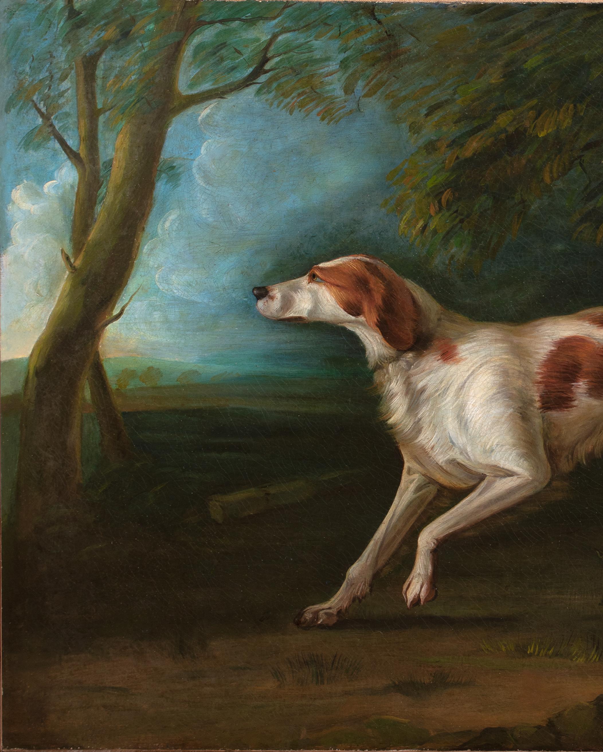 Porträt eines Brown & White Setters, 18. Jahrhundert im Angebot 3