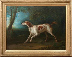 Retrato De Un Setter Marrón Y Blanco, Siglo XVIII