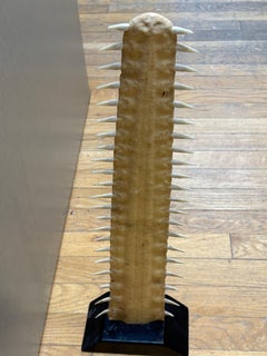 Sawtooth fish bill