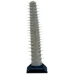 Sawtooth fish bill