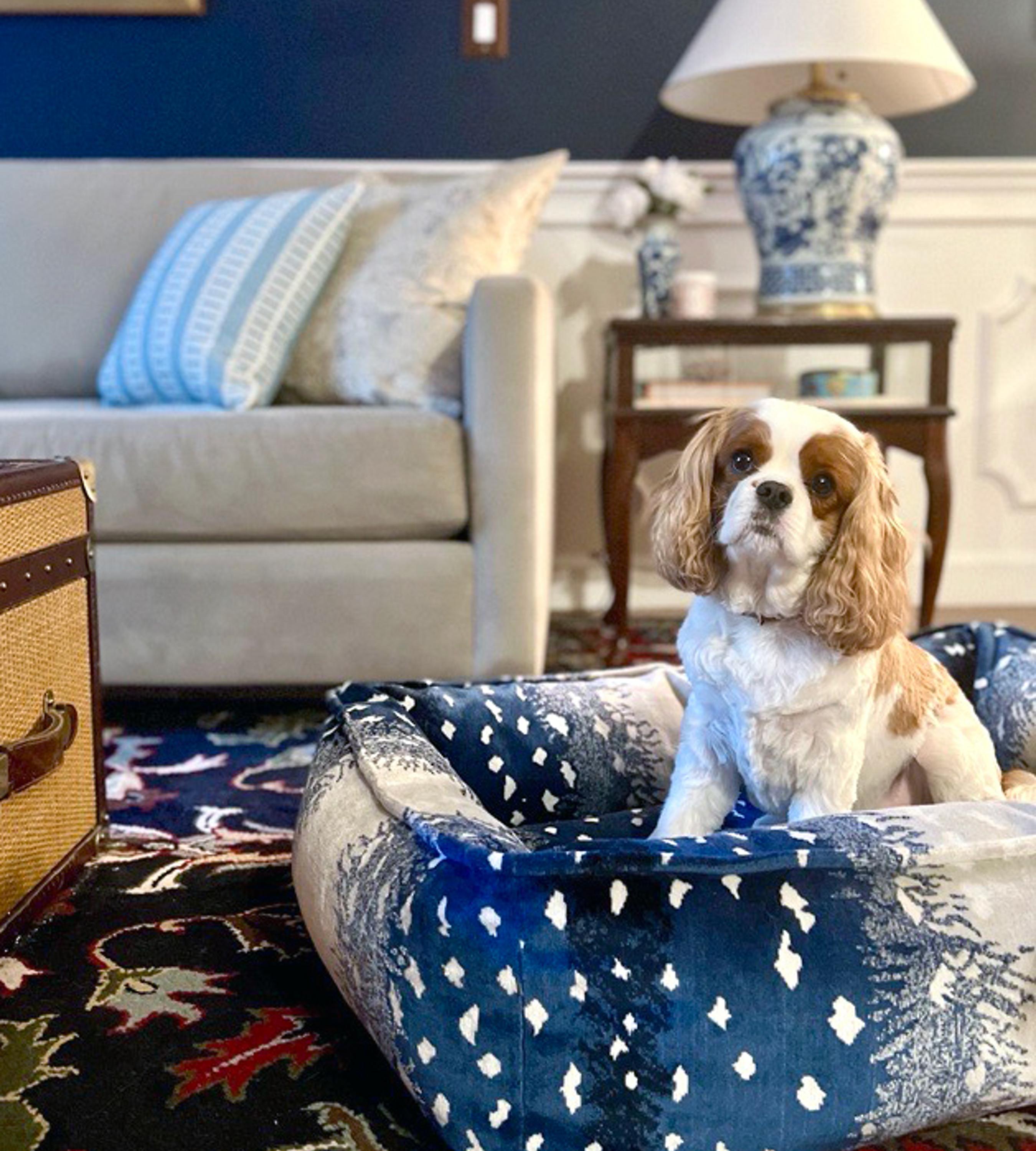 We love our four-legged friends and consider them to be part of the family! Our love and appreciation for our pets inspired us to create something exceptionally special, just for them. Scalamandré is pleased to introduce luxury dog beds, featuring