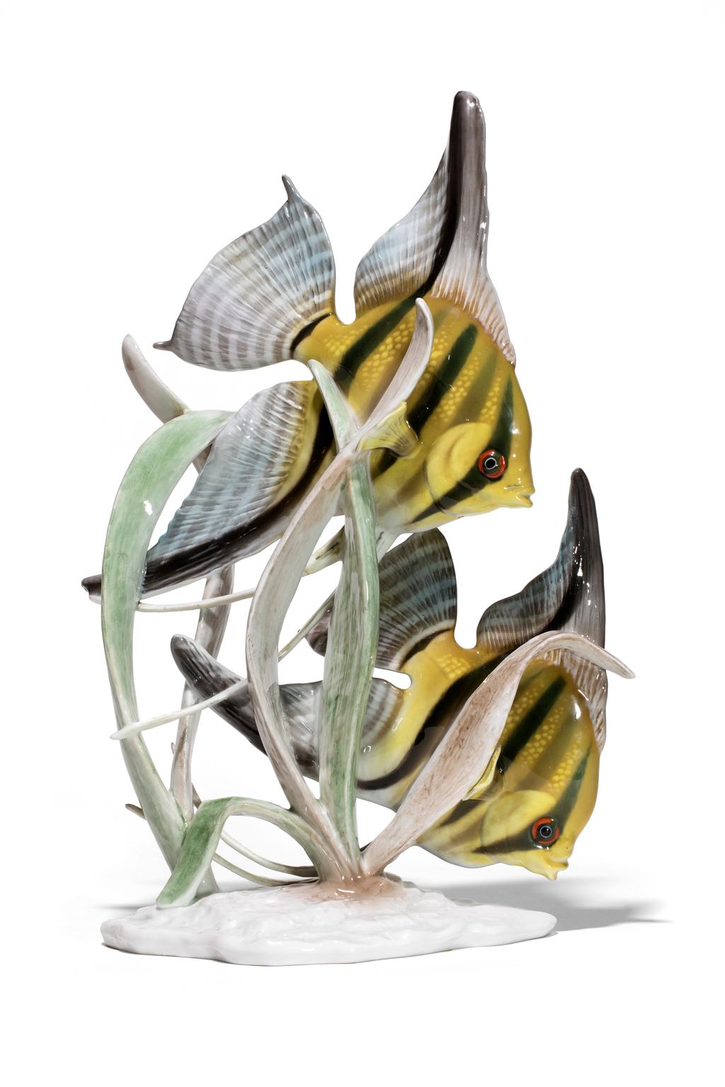 Fait main Figurine en porcelaine Rosenthal F. Heidenreich « SCALARE » - Poisson d'ange  en vente