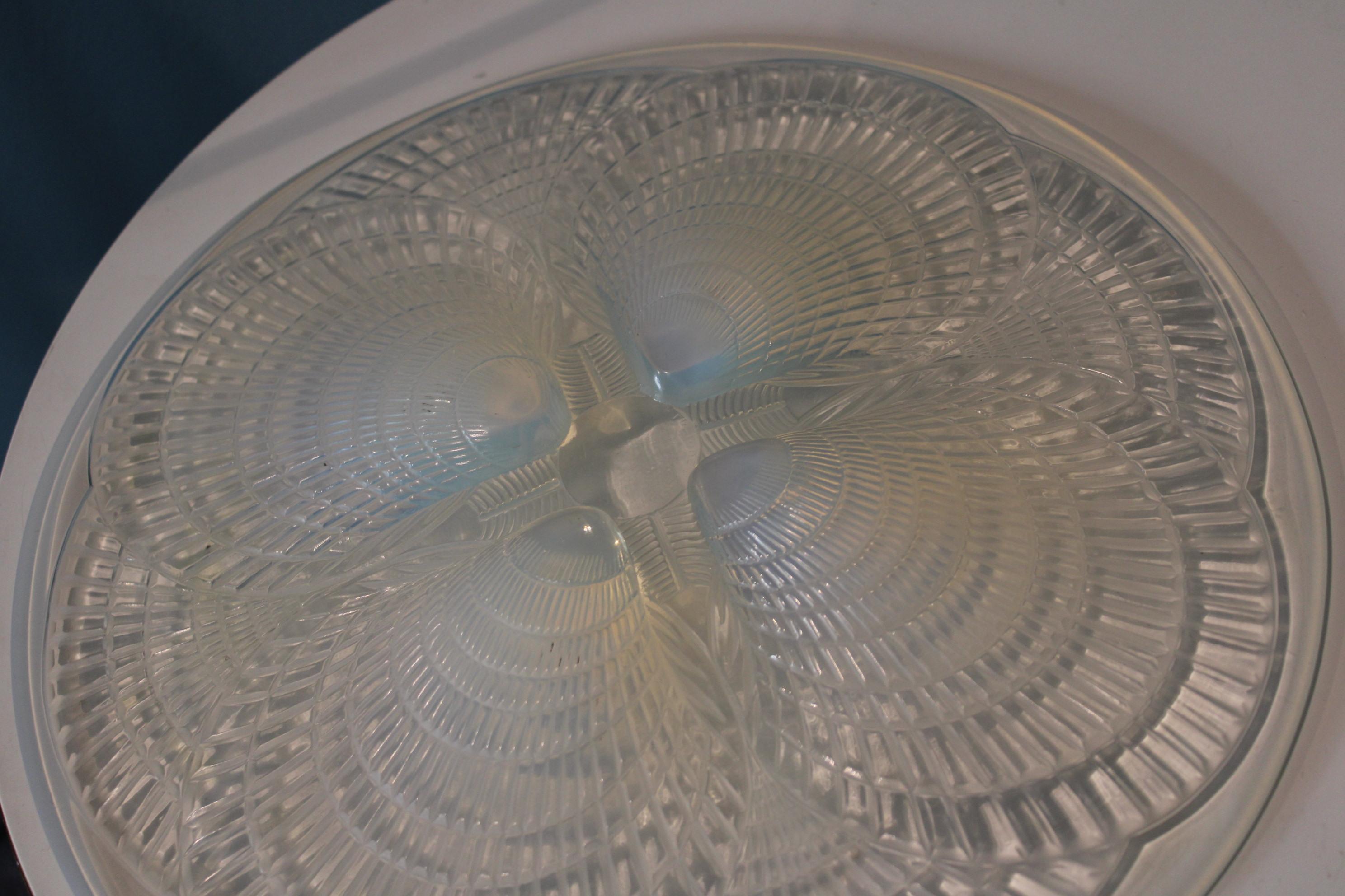 20th Century Scallops Glass Plate by René Lalique For Sale