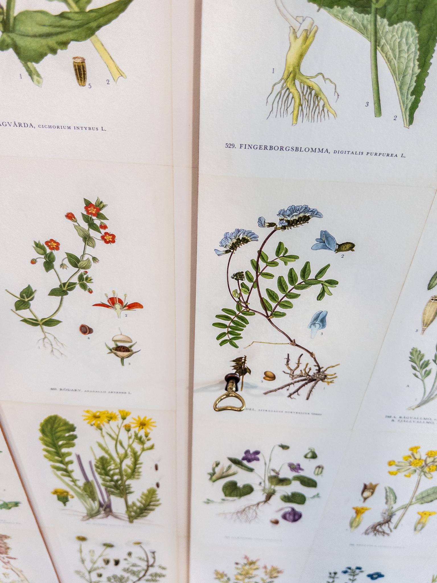 Mid-20th Century Scandinavian “Flora” Cabinet, Inspired by Josef Frank For Sale