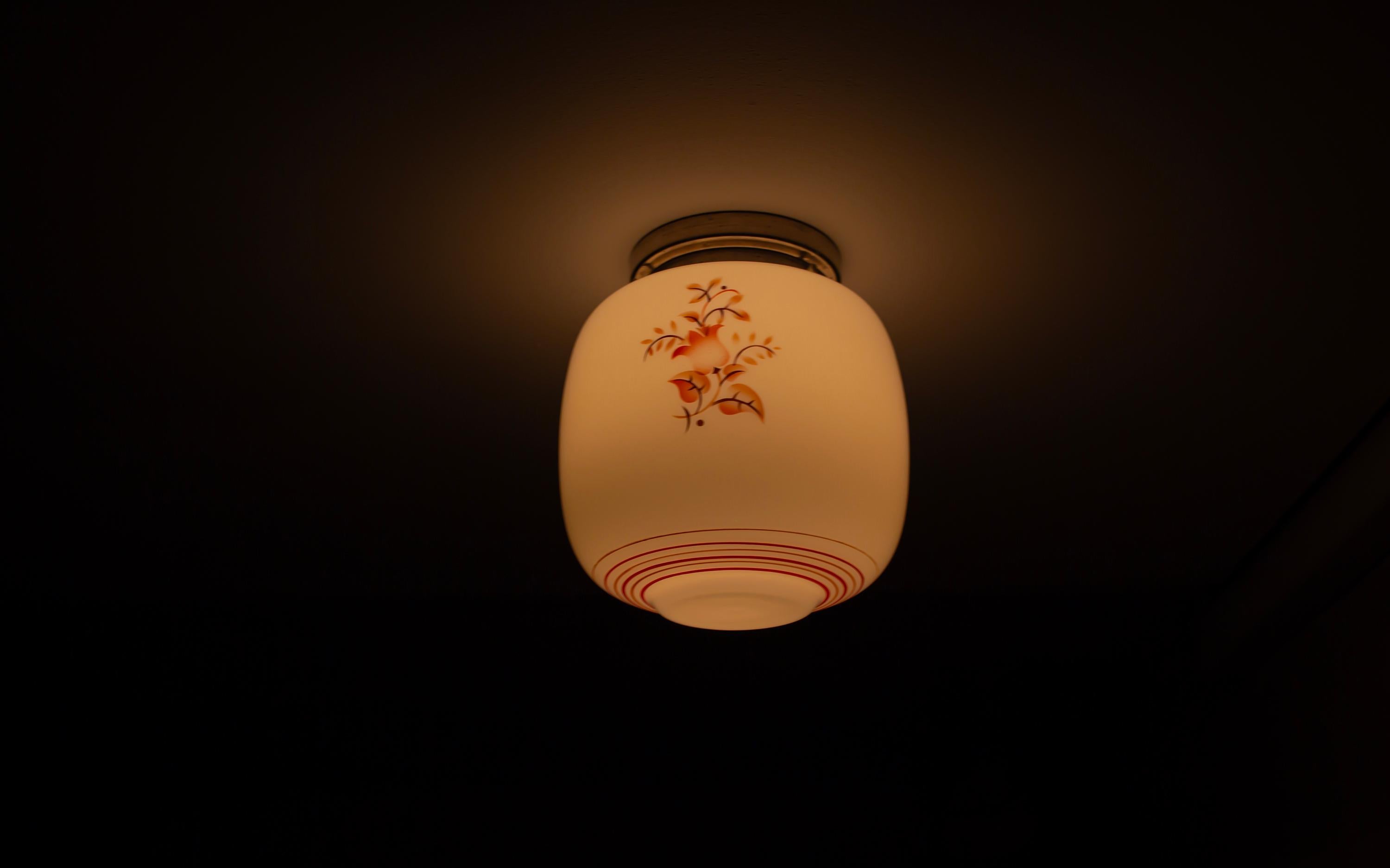 Scandinavian Flush Mount Ceiling Light, 1950s For Sale 3