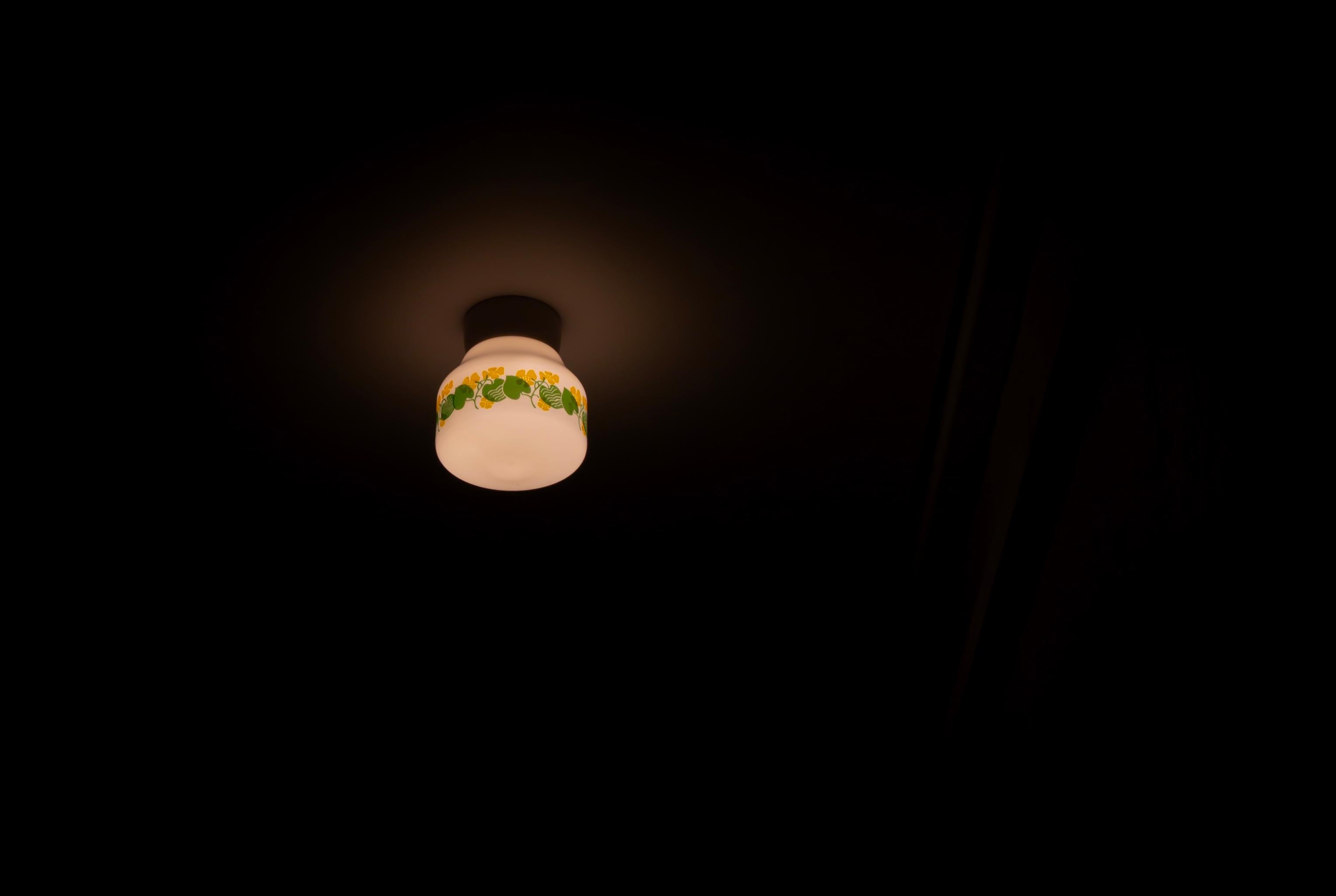 Scandinavian Flush Mount Ceiling Light, 1950s For Sale 4