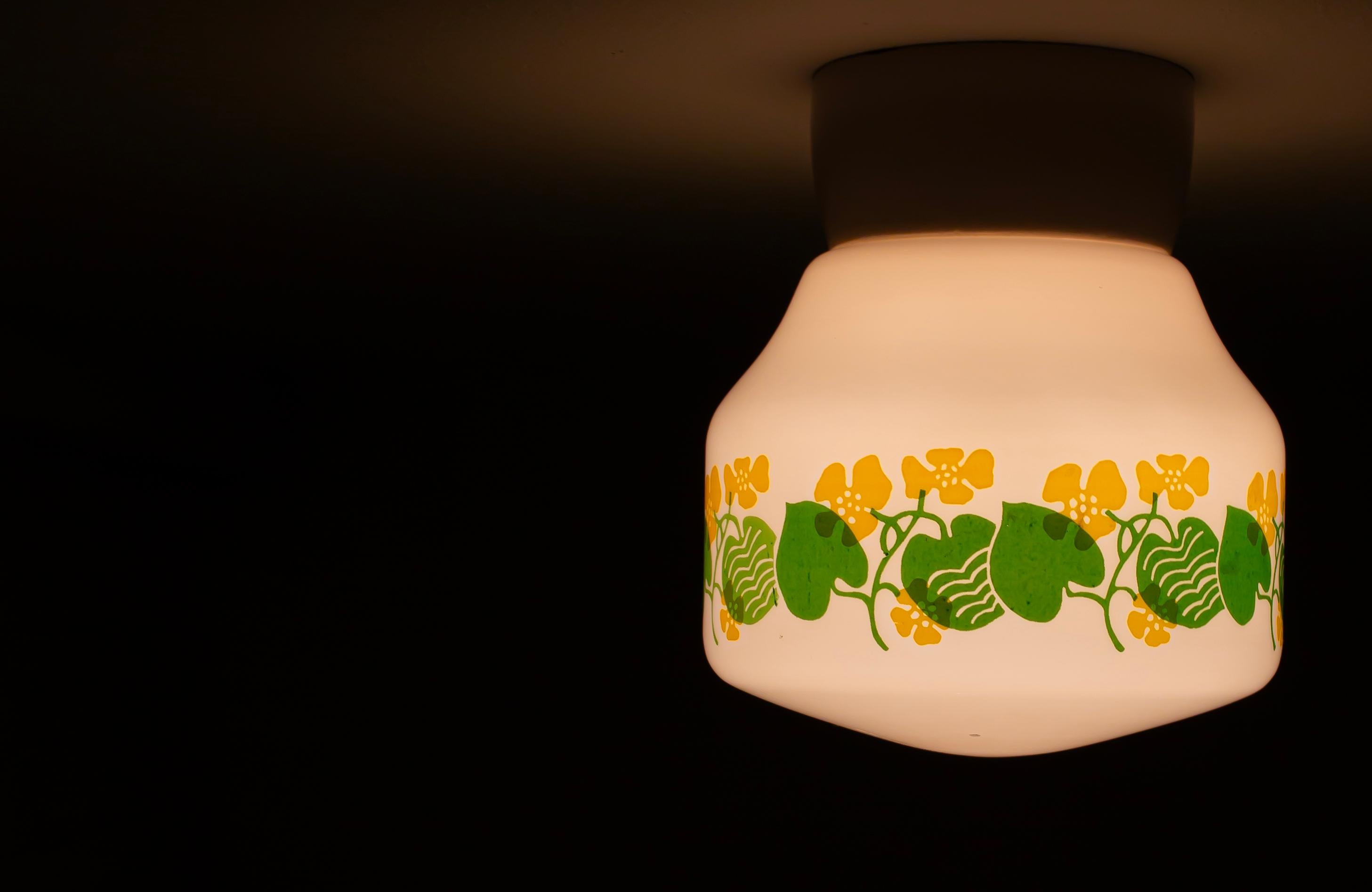 Scandinavian Flush Mount Ceiling Light, 1950s For Sale 5