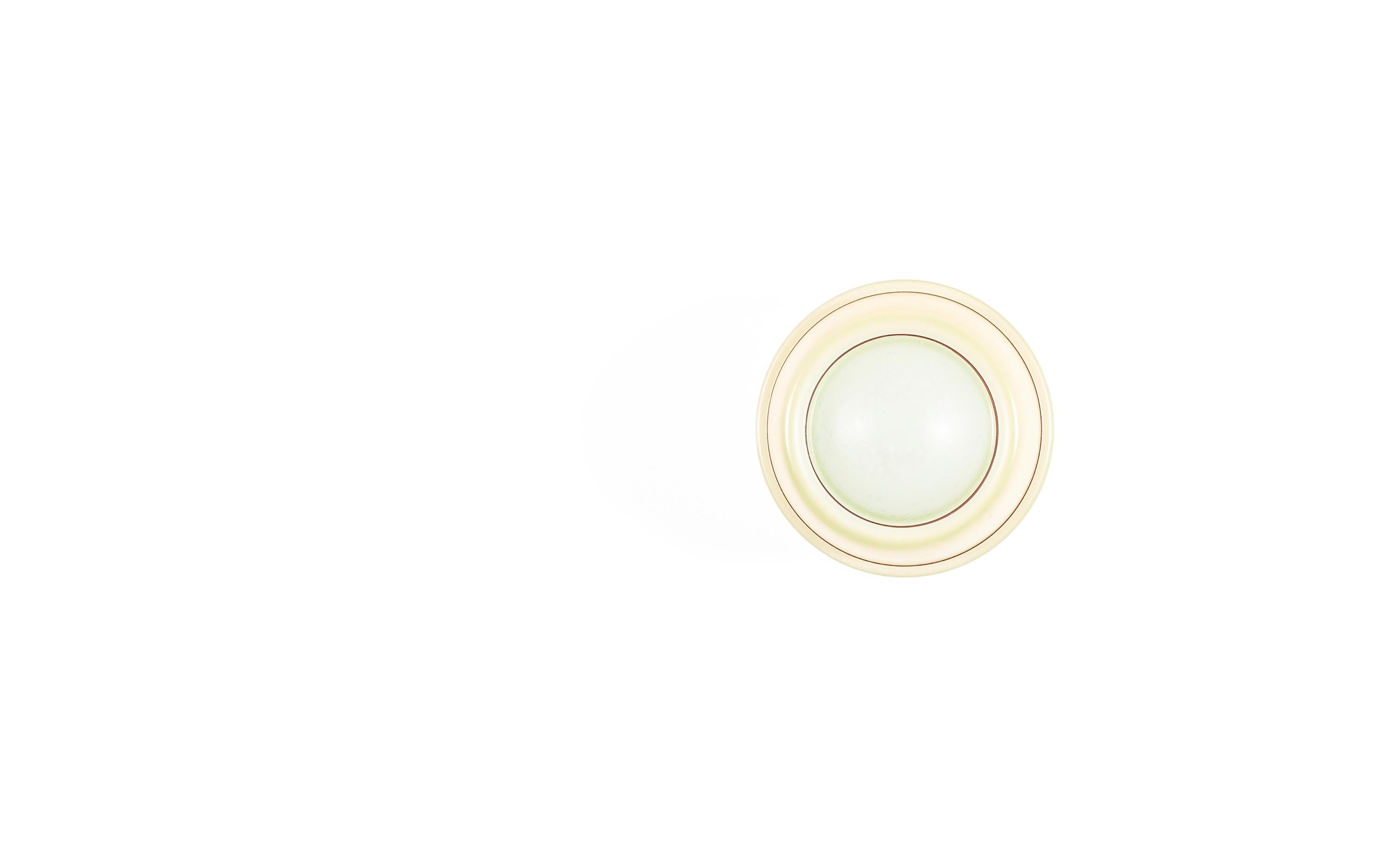 Mid-Century Modern Scandinavian Flush Mount Ceiling Light, 1950s
