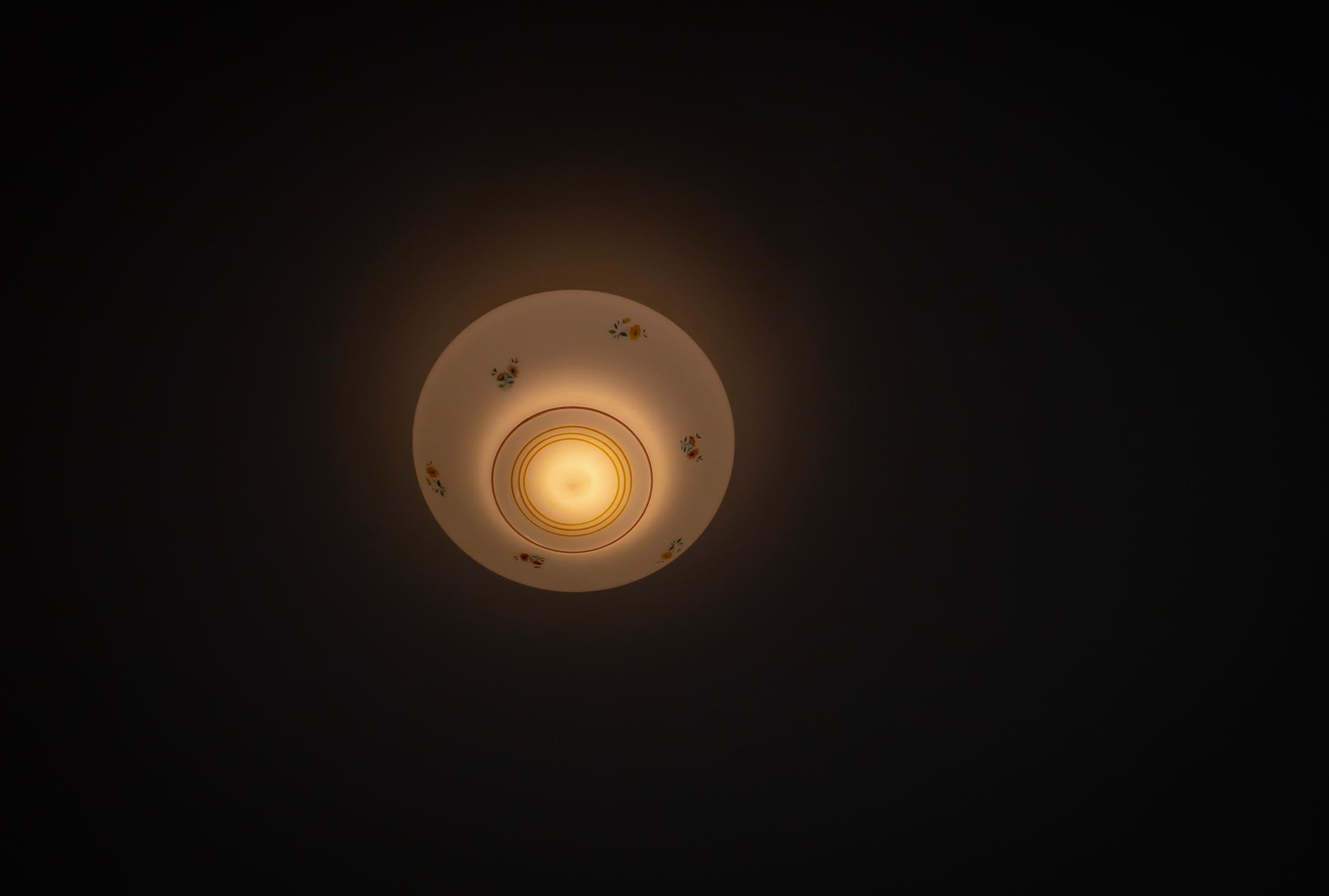 Mid-20th Century Scandinavian Flush Mount Ceiling Light, 1950s For Sale