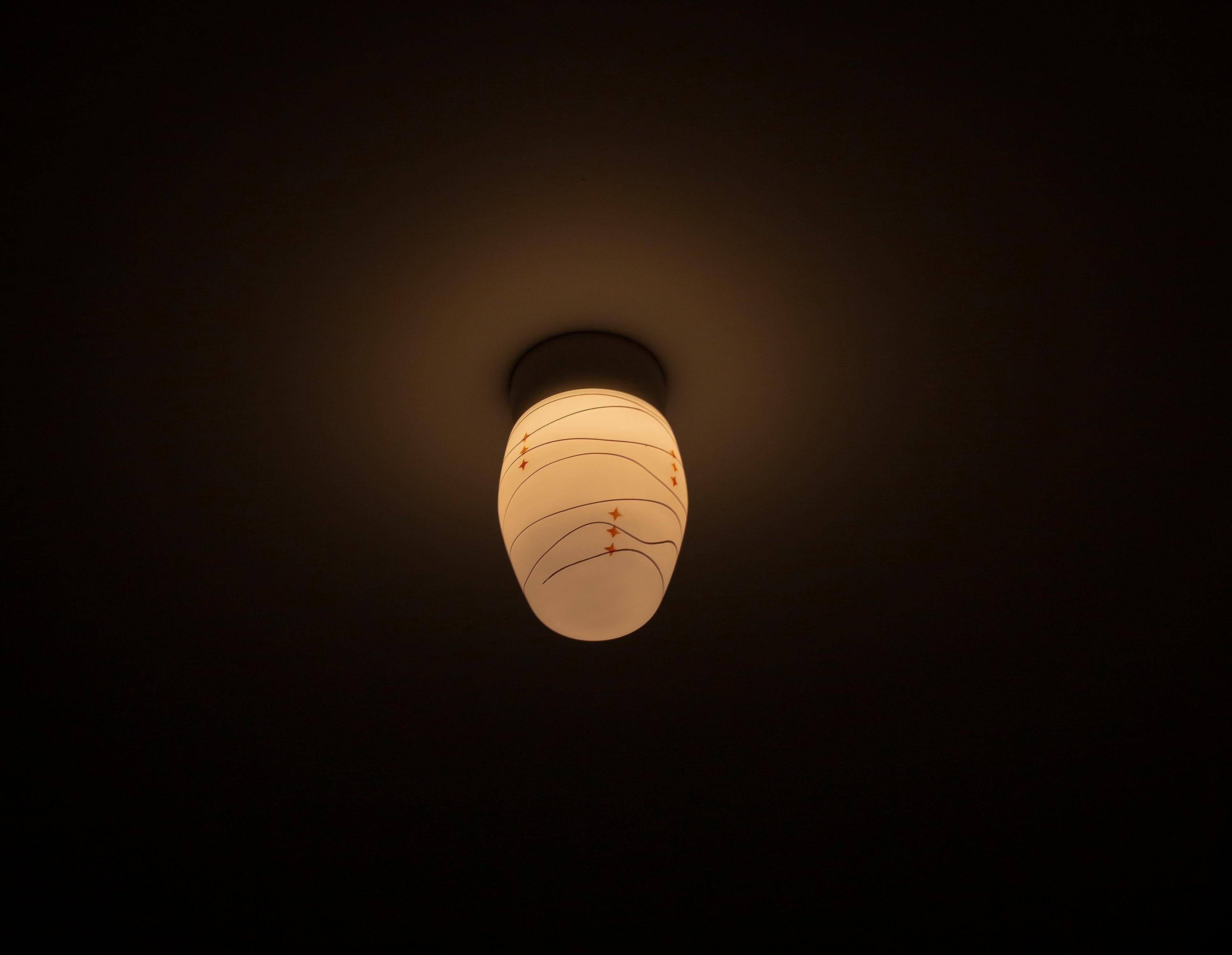 Scandinavian Flush Mount Ceiling Light, 1950s For Sale 1