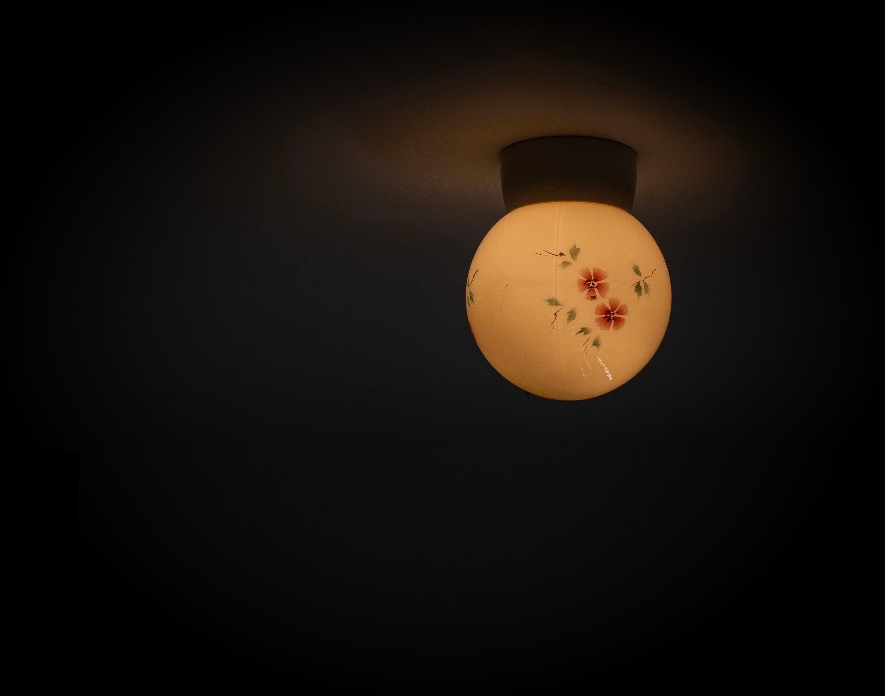 Scandinavian Flush Mount Ceiling Light, 1950s For Sale 1