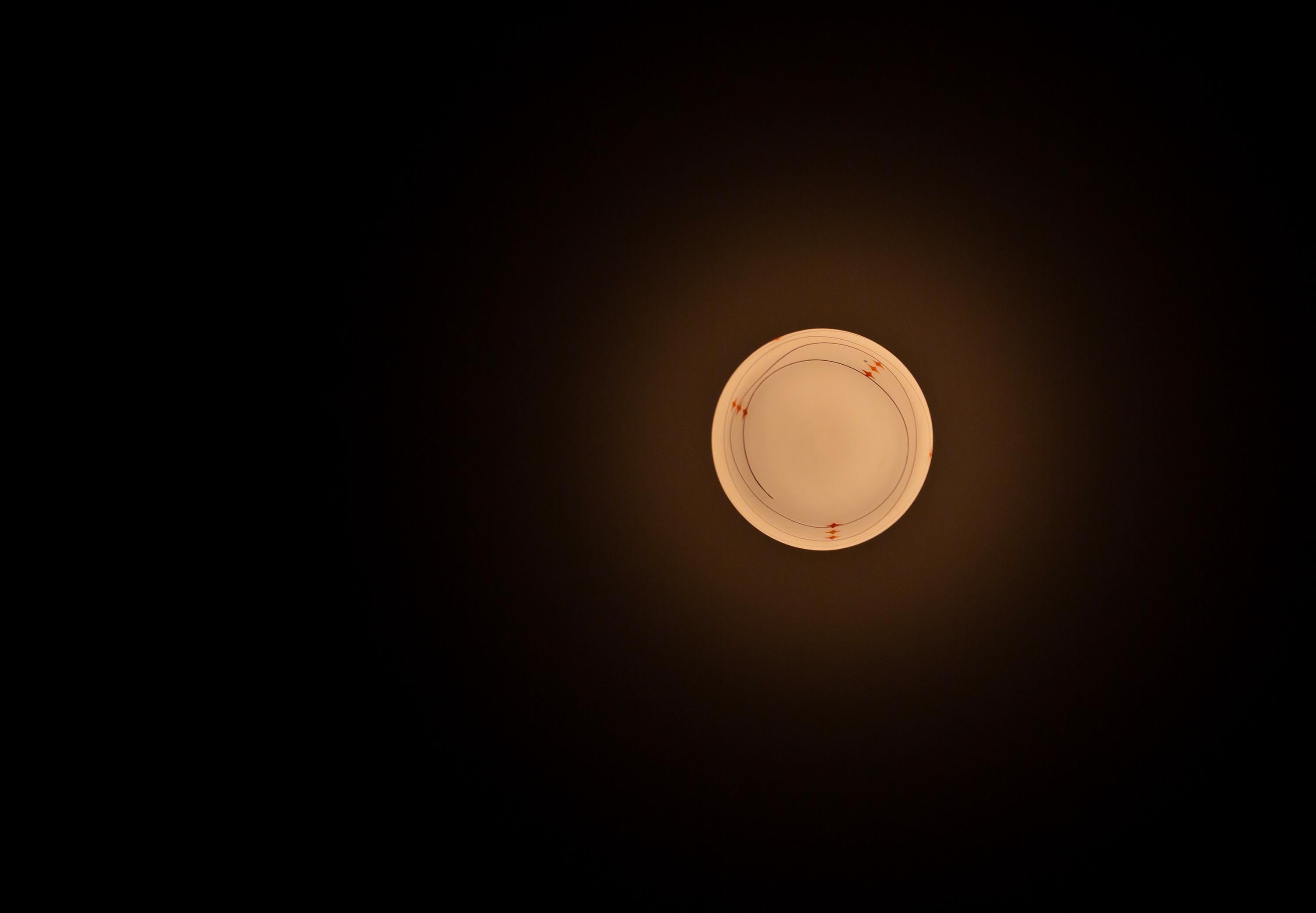 Scandinavian Flush Mount Ceiling Light, 1950s For Sale 2