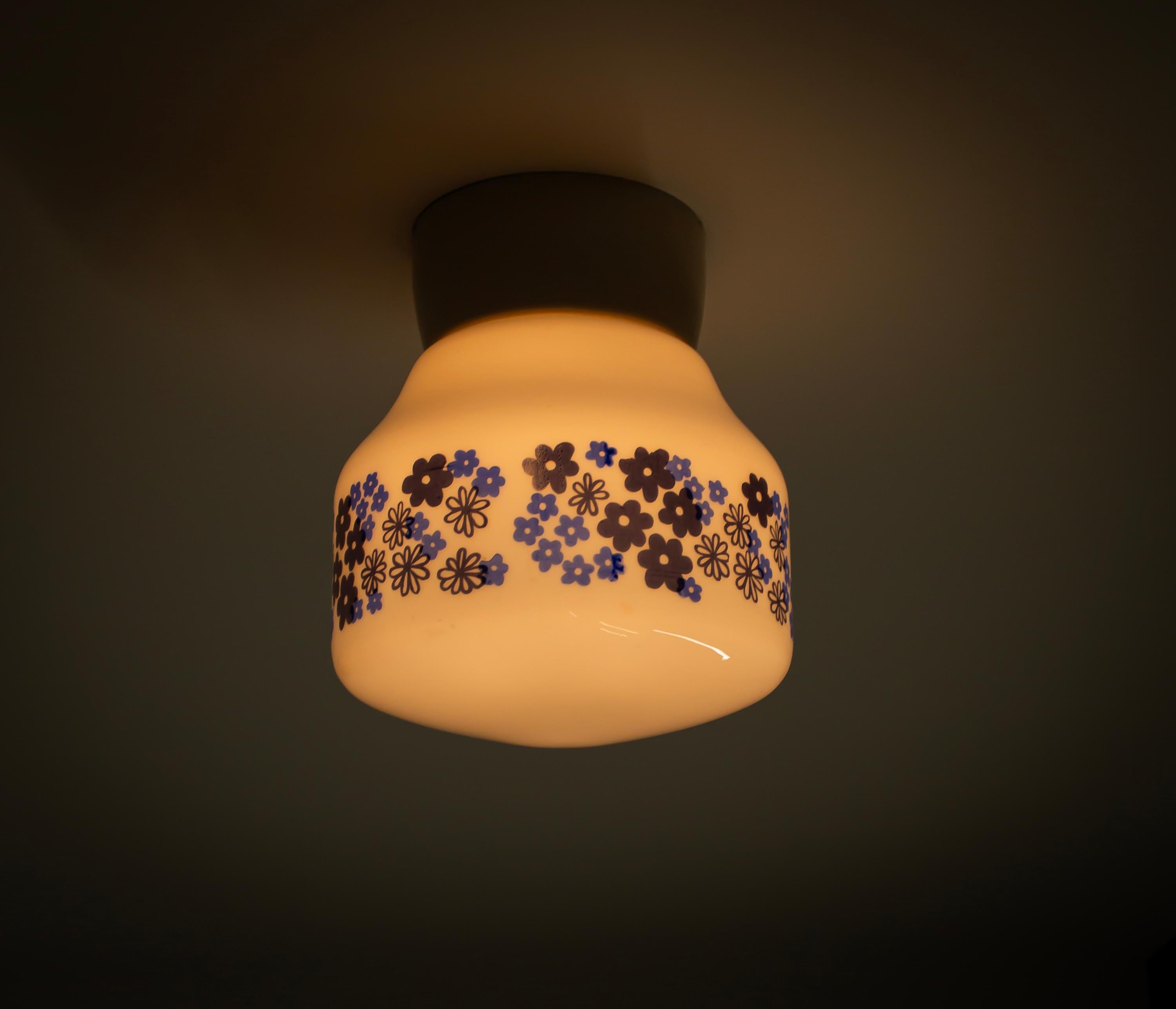 Scandinavian Flush Mount Ceiling Light, 1950s For Sale 2
