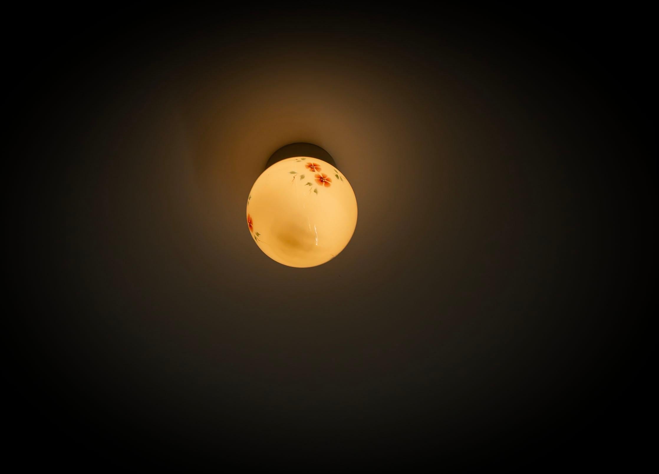 Scandinavian Flush Mount Ceiling Light, 1950s For Sale 2