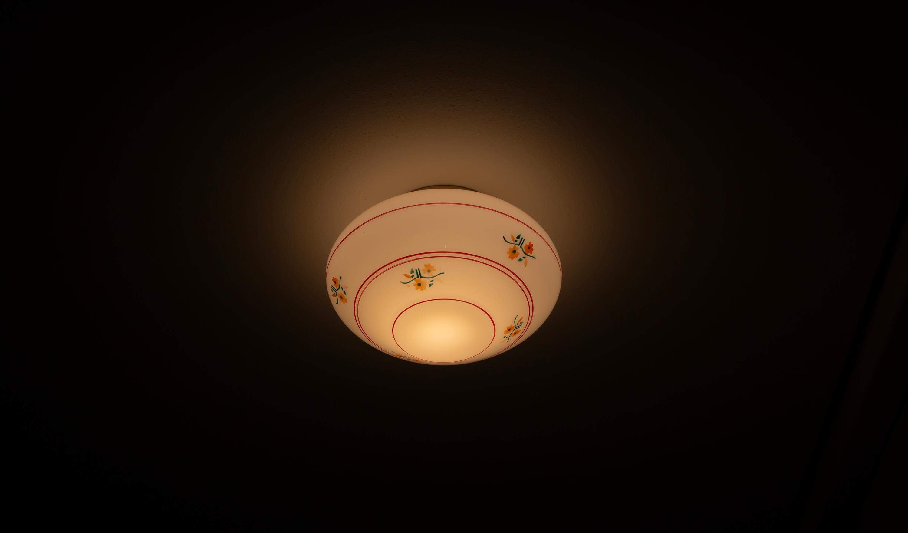 Scandinavian Flush Mount Ceiling Light, 1950s 2