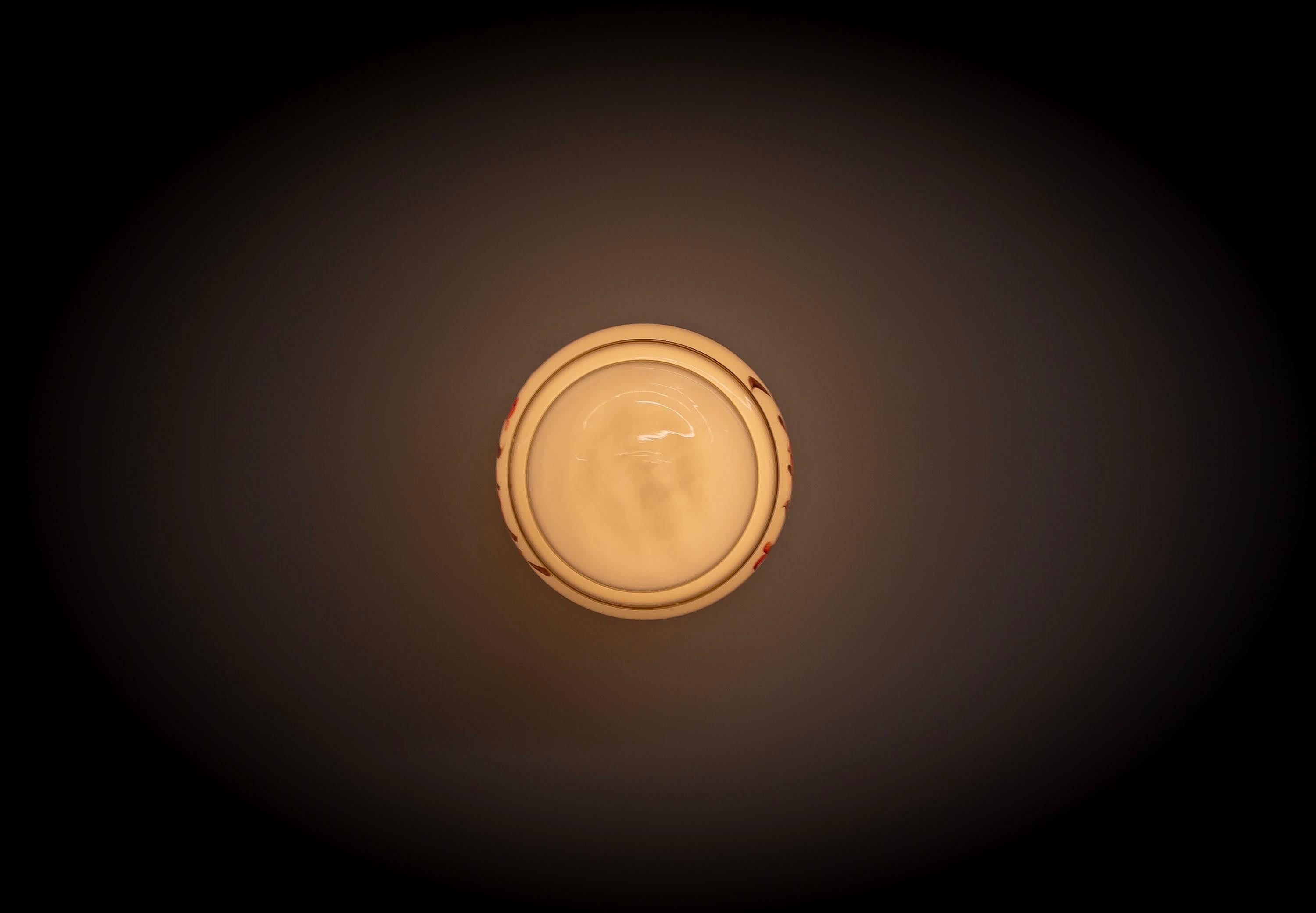 Scandinavian Flush Mount Ceiling Light, 1960s For Sale 2