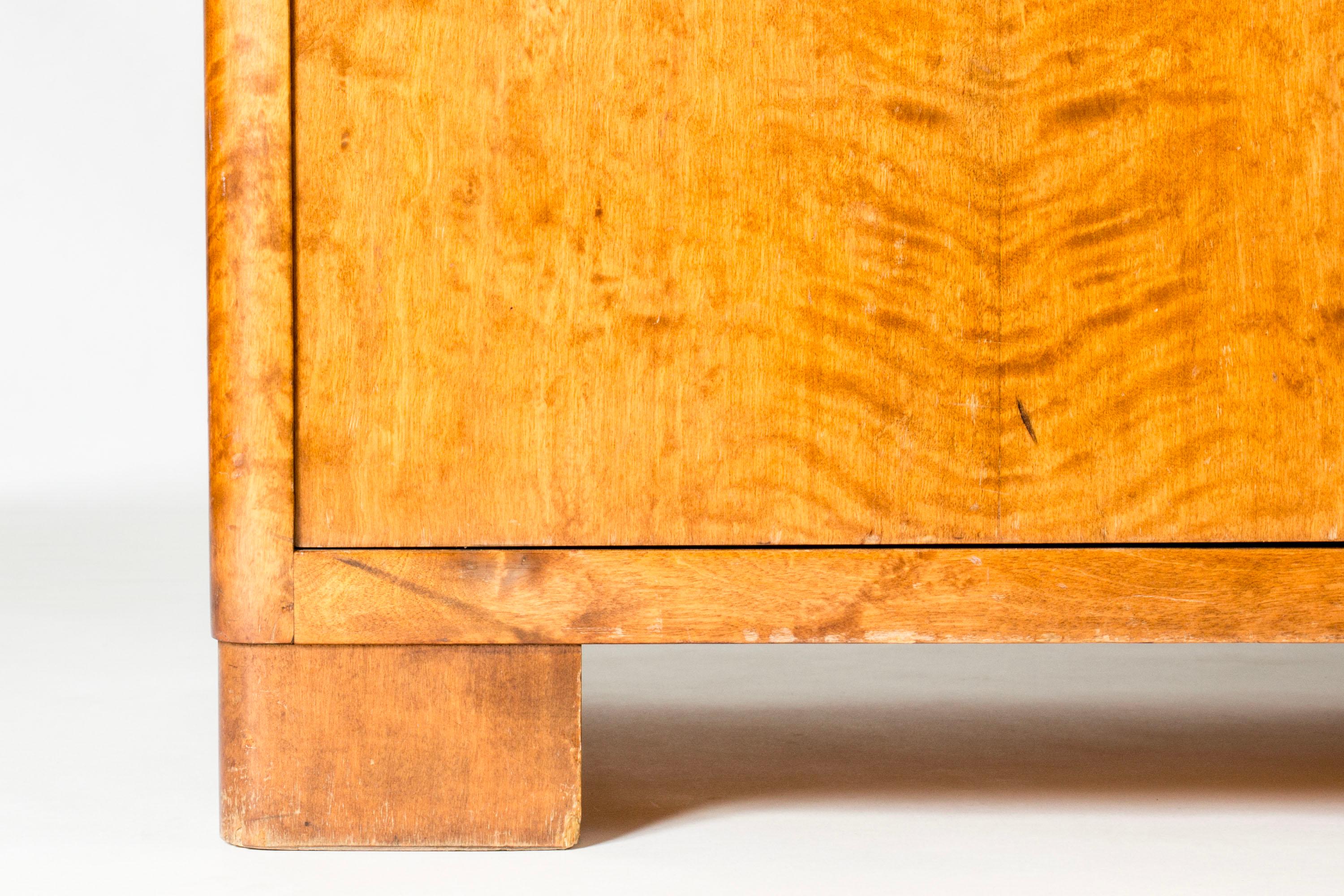 Mid-20th Century Scandinavian Functionalist Cabinet, Axel Larsson, Bodafors, Sweden, 1930s For Sale