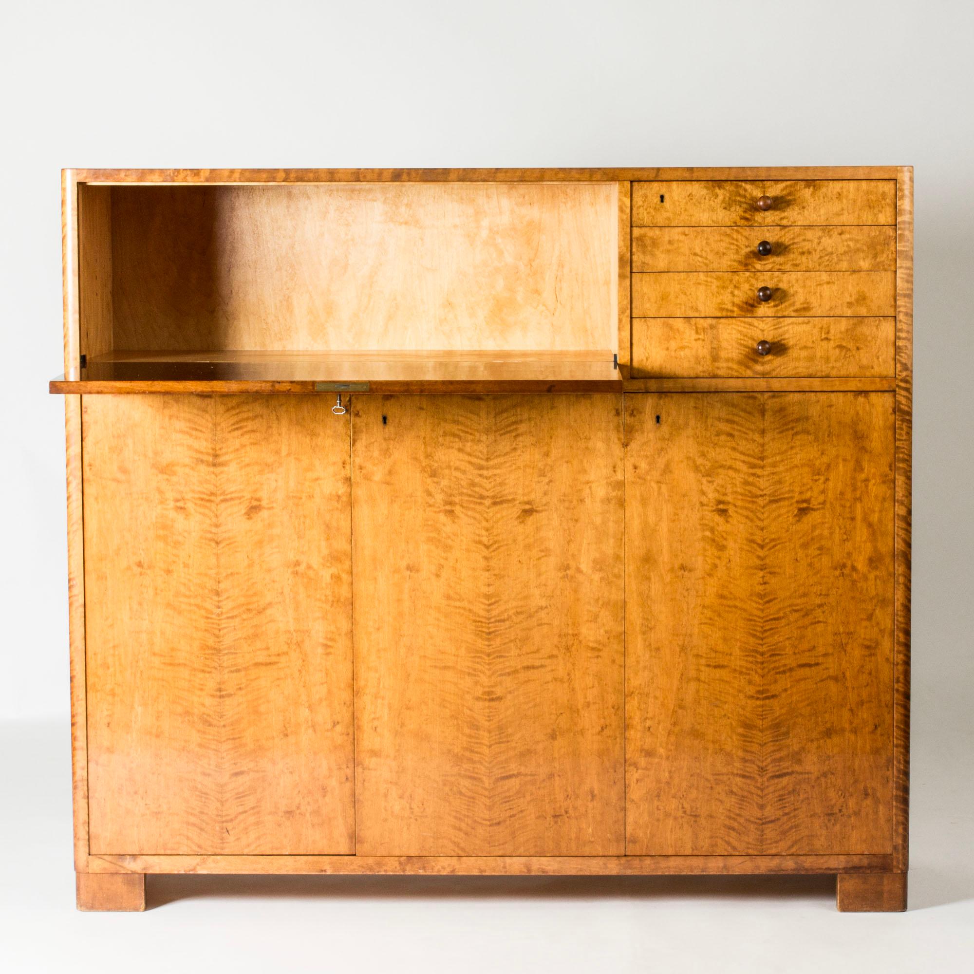 Birch Scandinavian Functionalist Cabinet, Axel Larsson, Bodafors, Sweden, 1930s For Sale