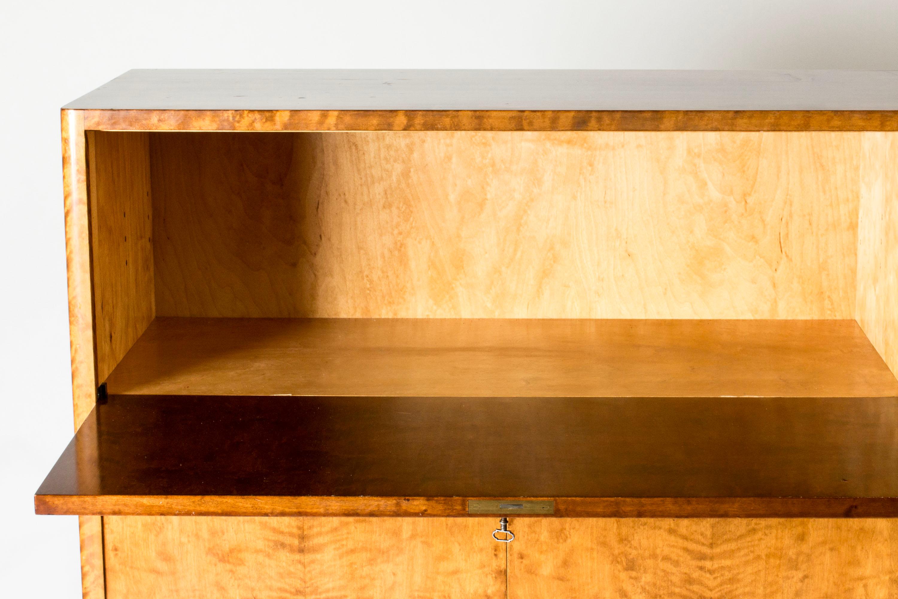 Scandinavian Functionalist Cabinet, Axel Larsson, Bodafors, Sweden, 1930s For Sale 1
