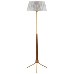 Scandinavian Midcentury Floor Lamp in Brass and Wood