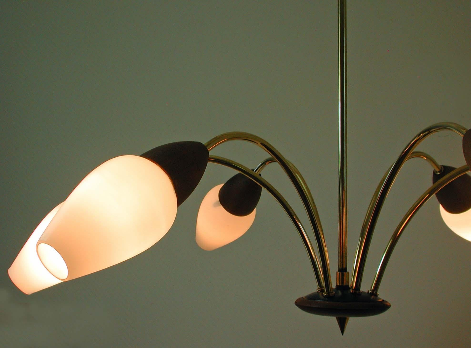 Scandinavian Midcentury Teak and Opal Glass Six-Light Chandelier, 1960s 4