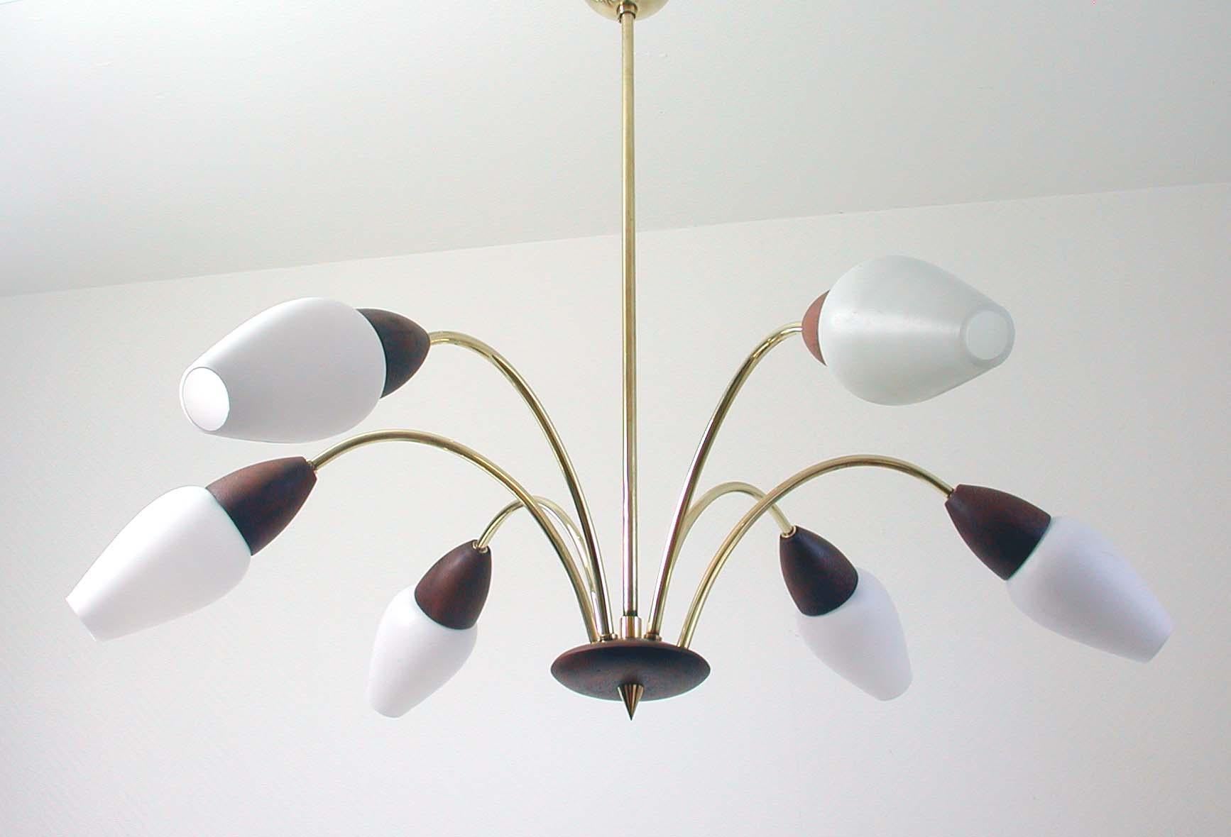 Scandinavian Midcentury Teak and Opal Glass Six-Light Chandelier, 1960s 5