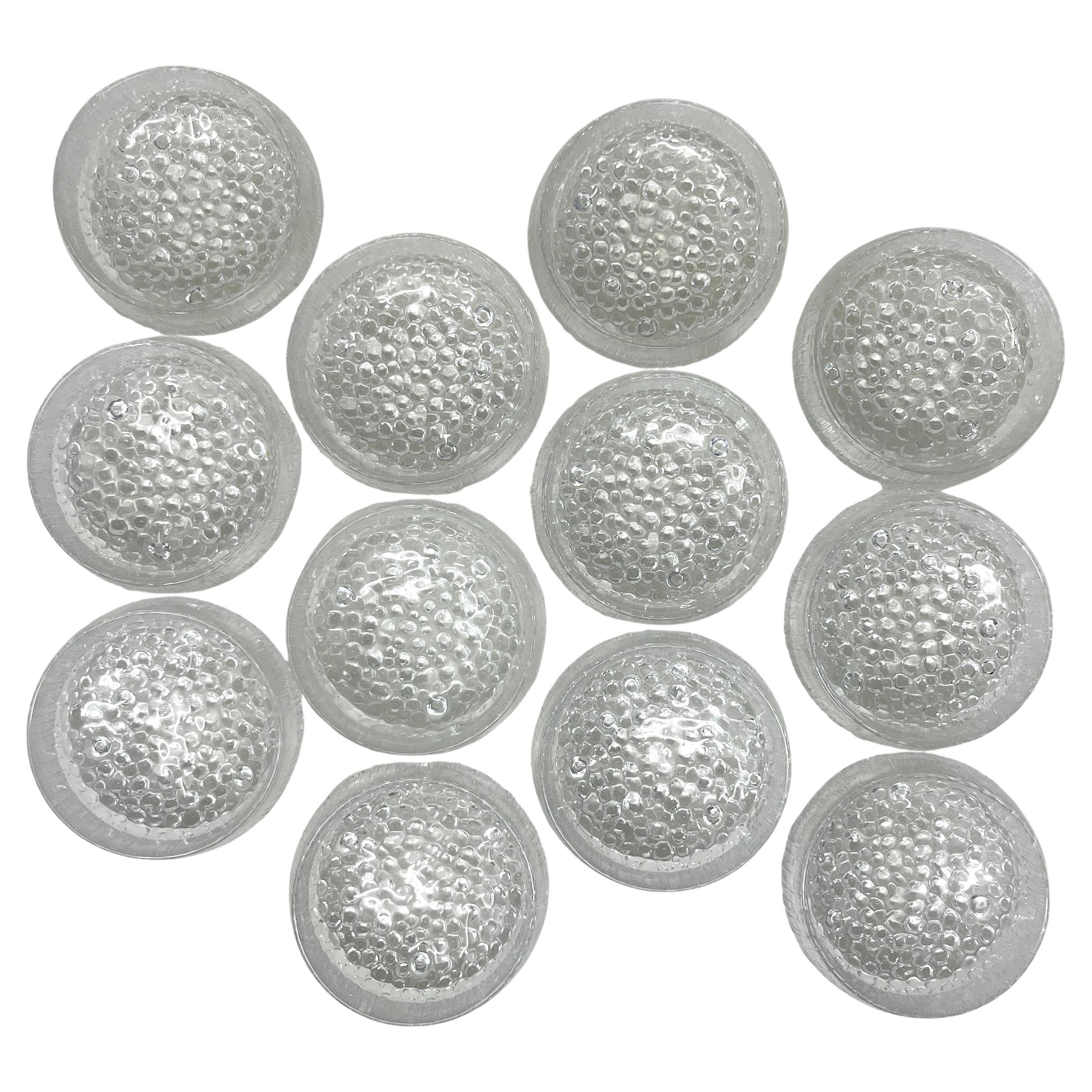 Juego de 12 fruteros escandinavos modernos IIttala de Tapio Wirkkala en venta