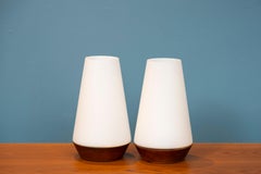 Scandinavian Modern Table Lamps
