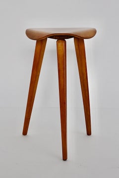 Scandinavian Modern Vintage Sculptural Organic Brown Birch Stool, 1950s