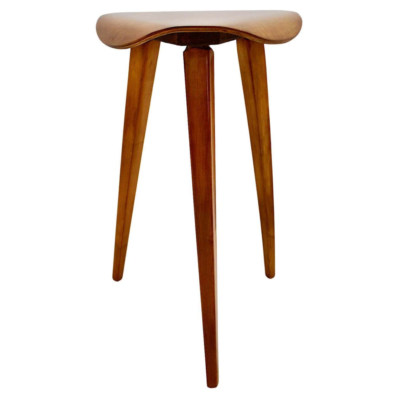 Scandinavian Modern Vintage Sculptural Organic Brown Birch Stool, 1950s ...