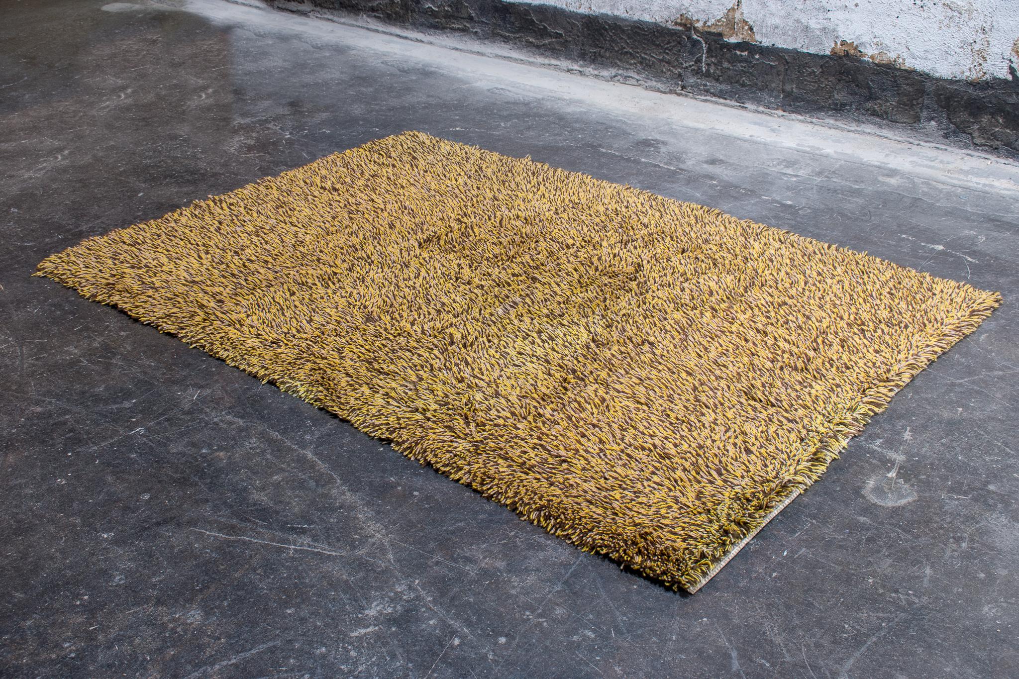 Schwedischer Shag Rya Teppich in verschiedenen Schattierungen von Gelbbraun und Hellgrün. Handgeknüpfter Shag-Teppich aus Wolle, hergestellt in Schweden, um 1960. Hübsches kleines Format zur Akzentuierung eines Teils eines Raumes.