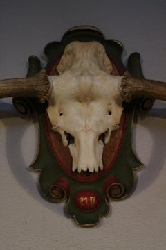 Scandinavian Moose Antlers