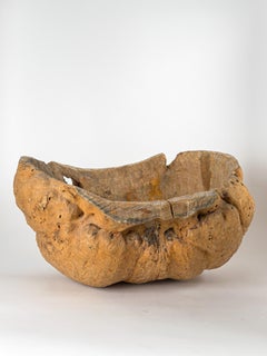 Ciotola scultorea in legno di radica biologico scandinavo, Svezia