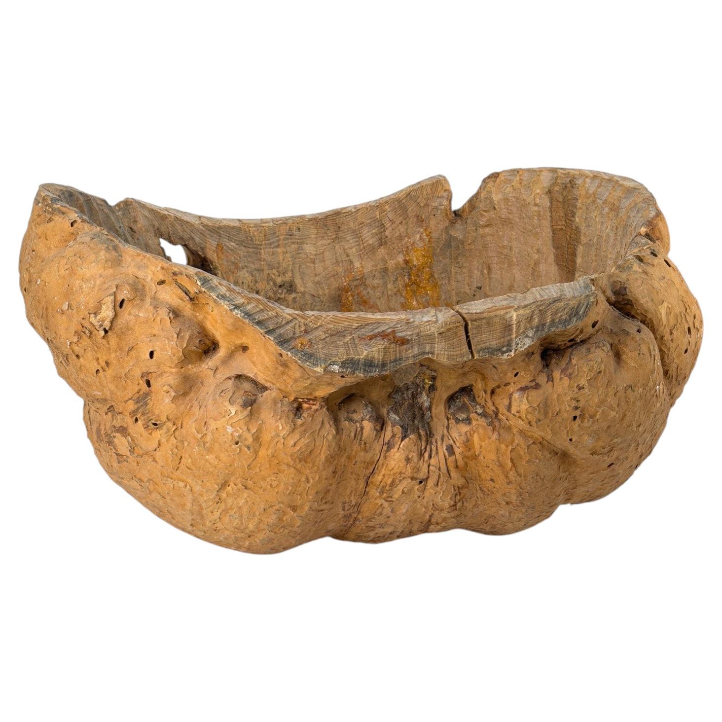 Scandinavian Organic Burl Wood Sculptural Bowl, Sweden