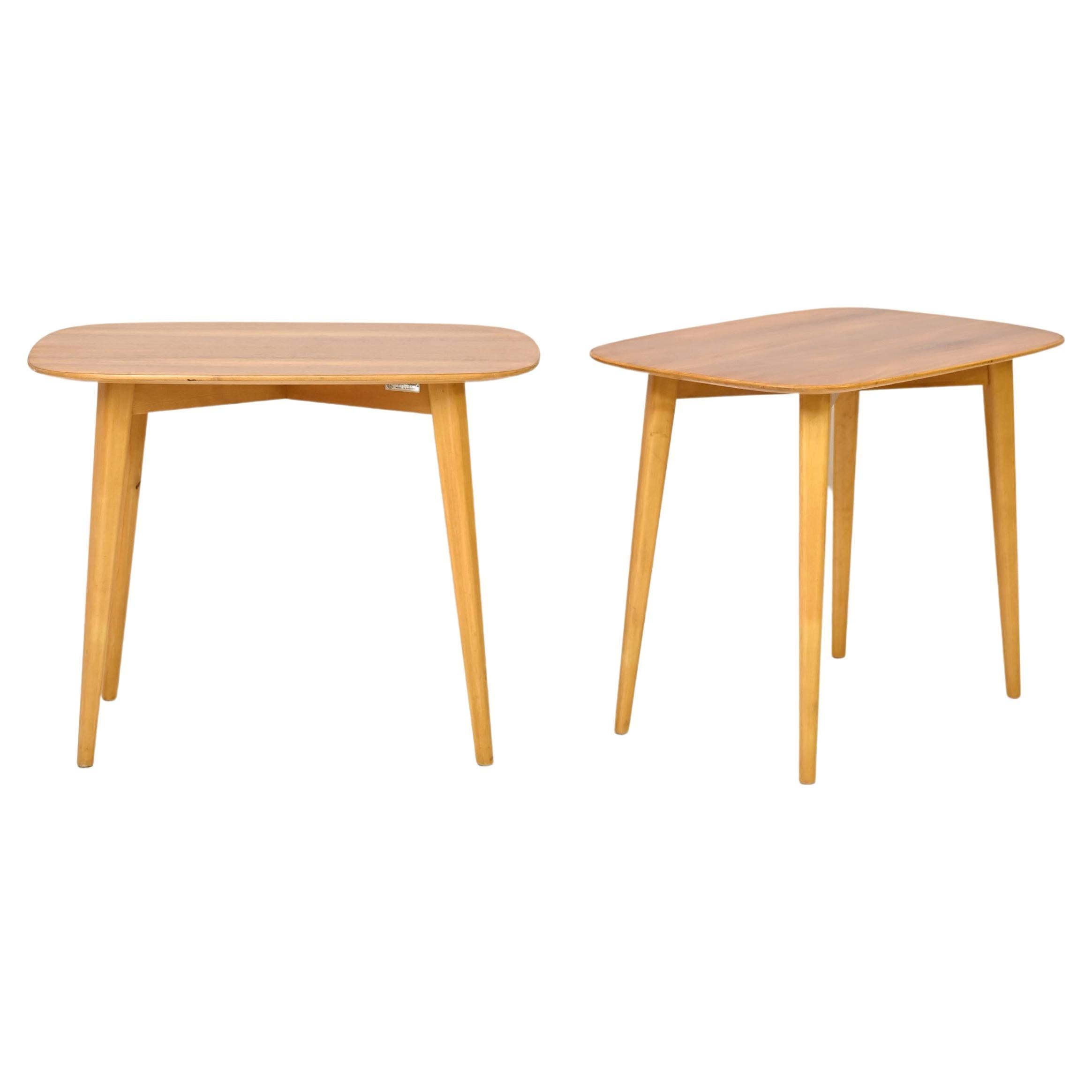 Scandinavian Oval Coffee Tables of Modernism
