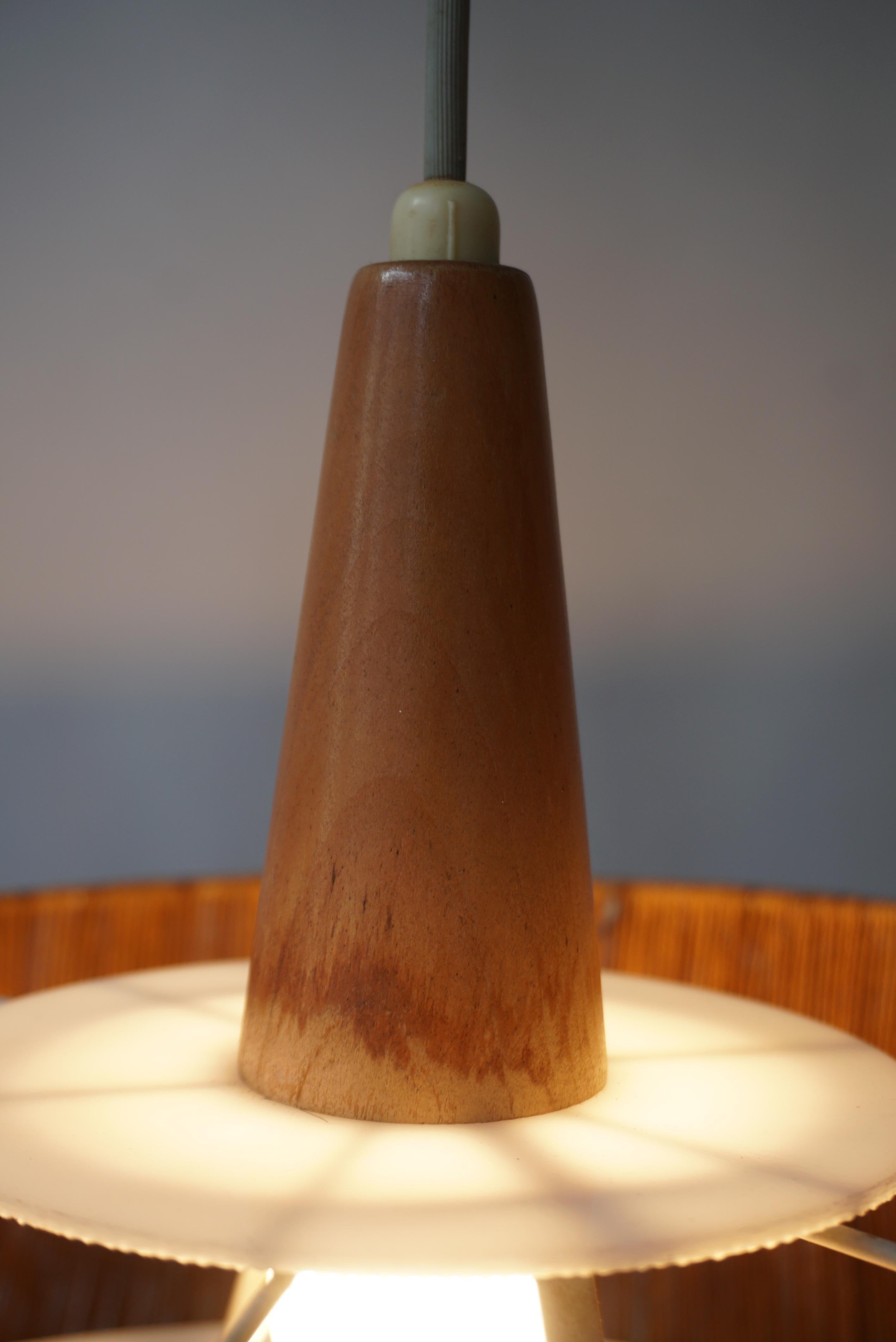 Scandinavian Pendant Light in Rope, Wood and Perspex For Sale 9