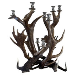 Candelabro scandinavo in corna di renna, fascino rustico a dieci luci