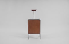 Scandinavian Vintage Magazine Rack in Teak Plywood and Metal, 1960s