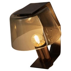 Scandinavian Wall Light in Copper and Smoked Glass 