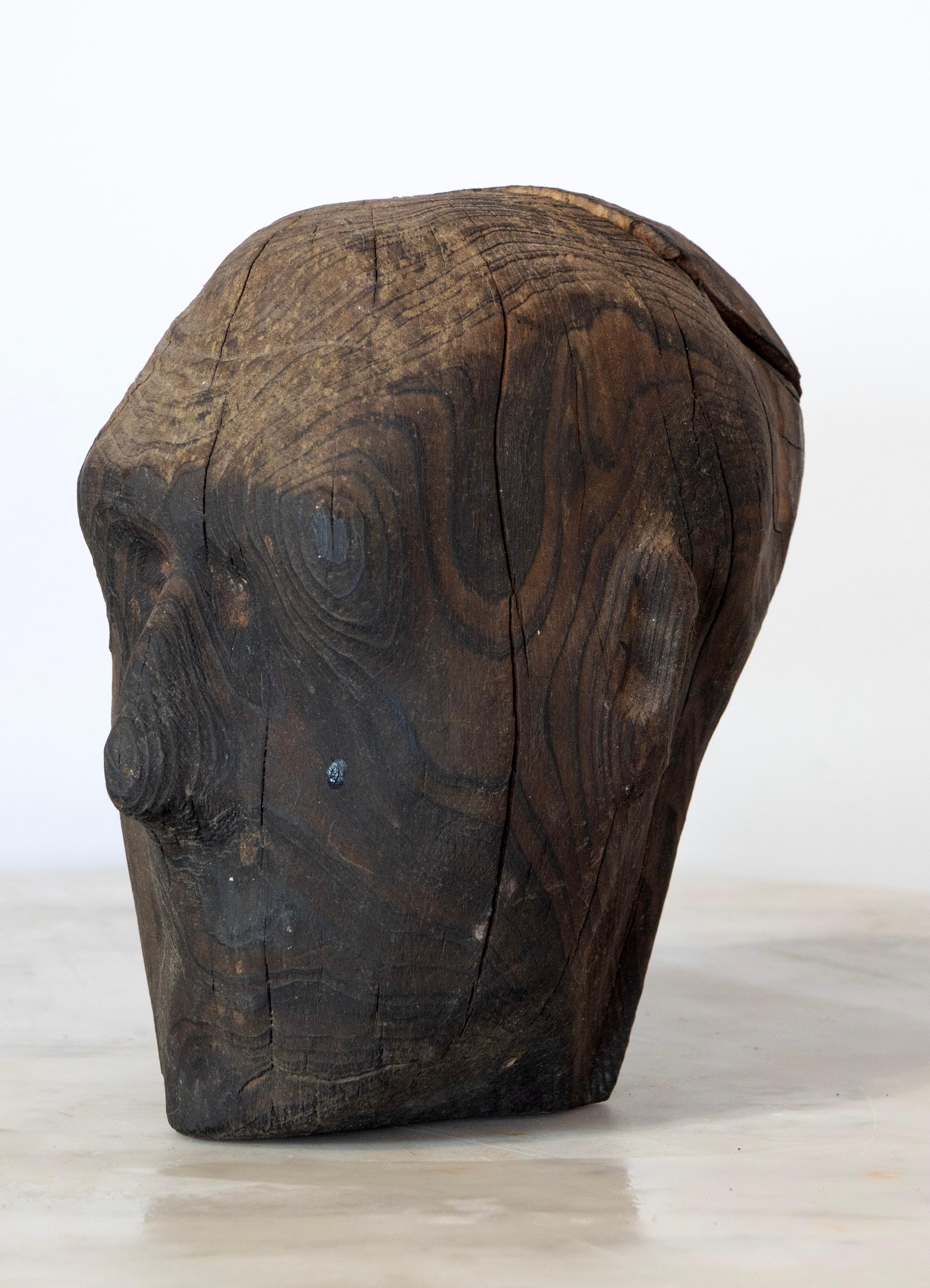 Charred Pine Head I. Yakisugi Burnt-Wood Bust Sculpture, Contemporary Conceptual For Sale 7