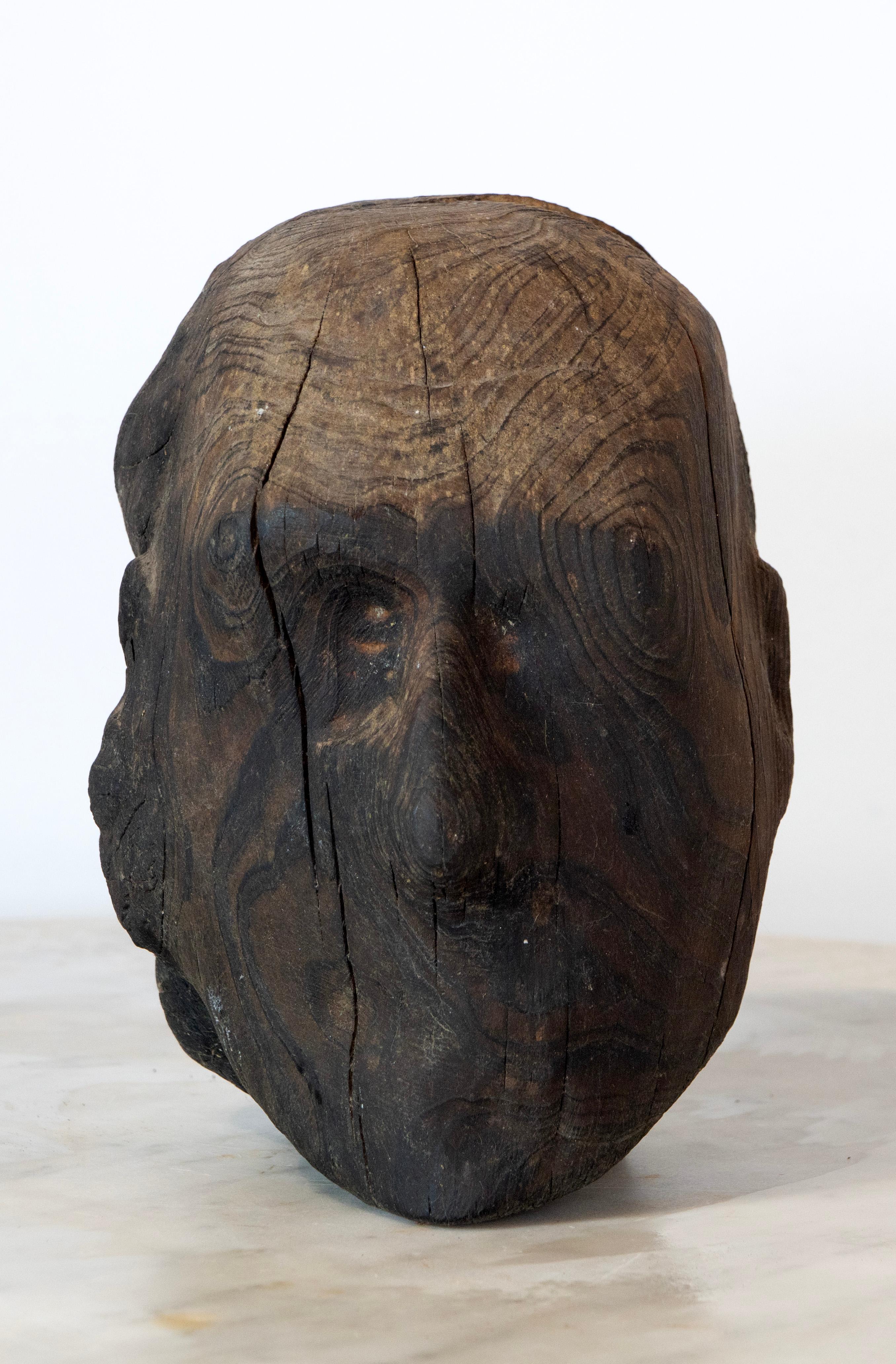 Charred Pine Head I. Yakisugi Burnt-Wood Bust Sculpture, Contemporary Conceptual For Sale 8