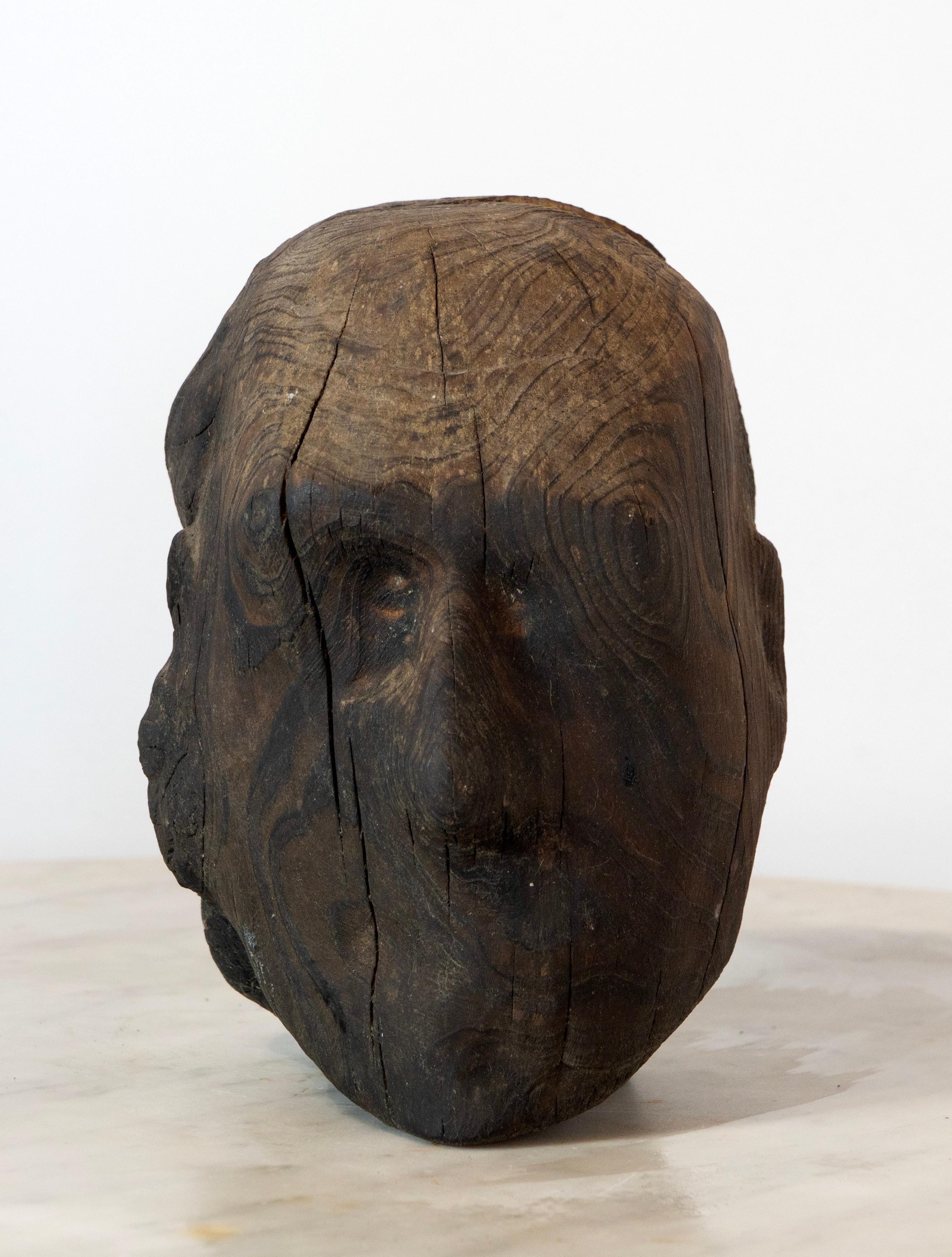 Charred Pine Head I. Yakisugi Burnt-Wood Bust Sculpture, Contemporary Conceptual - Brown Figurative Sculpture by Óscar Aldonza Torres