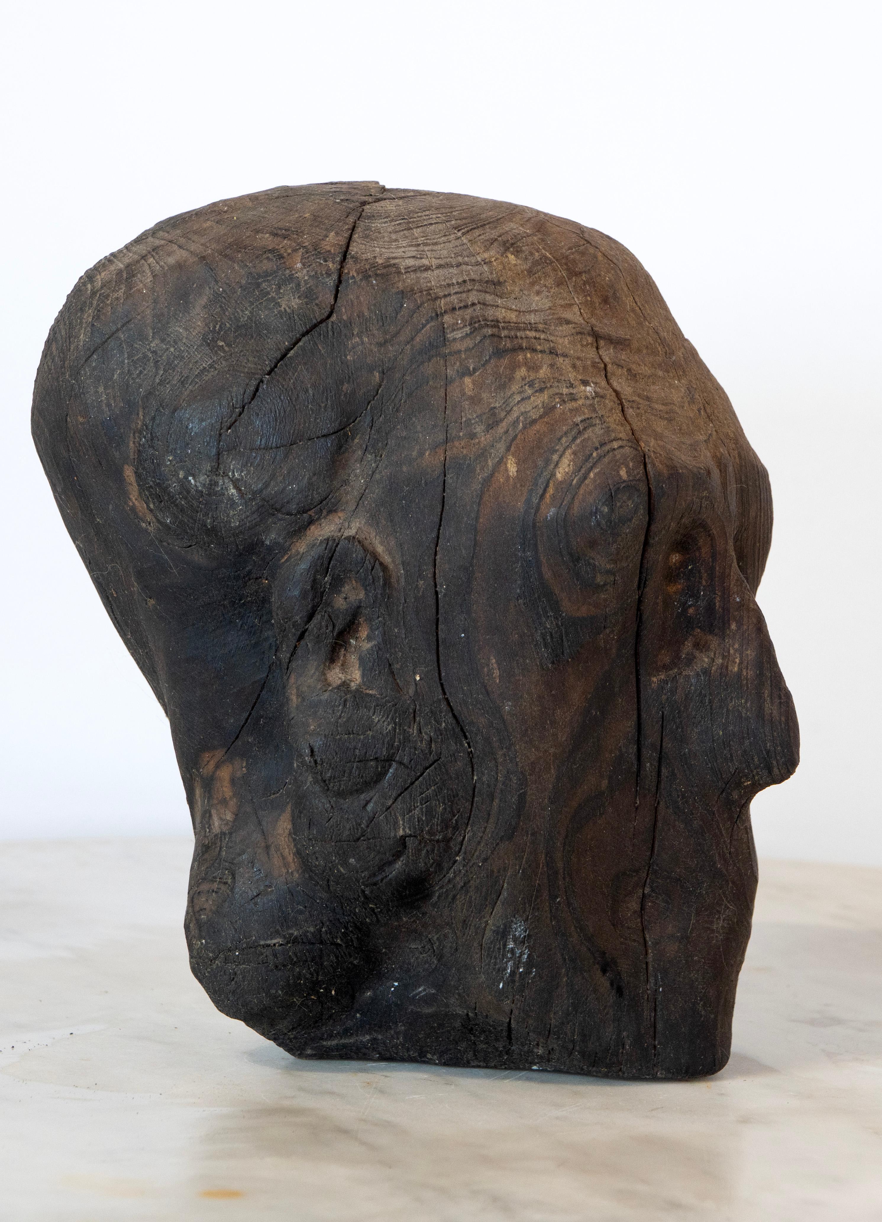 Charred Pine Head I. Yakisugi Burnt-Wood Bust Sculpture, Contemporary Conceptual For Sale 1