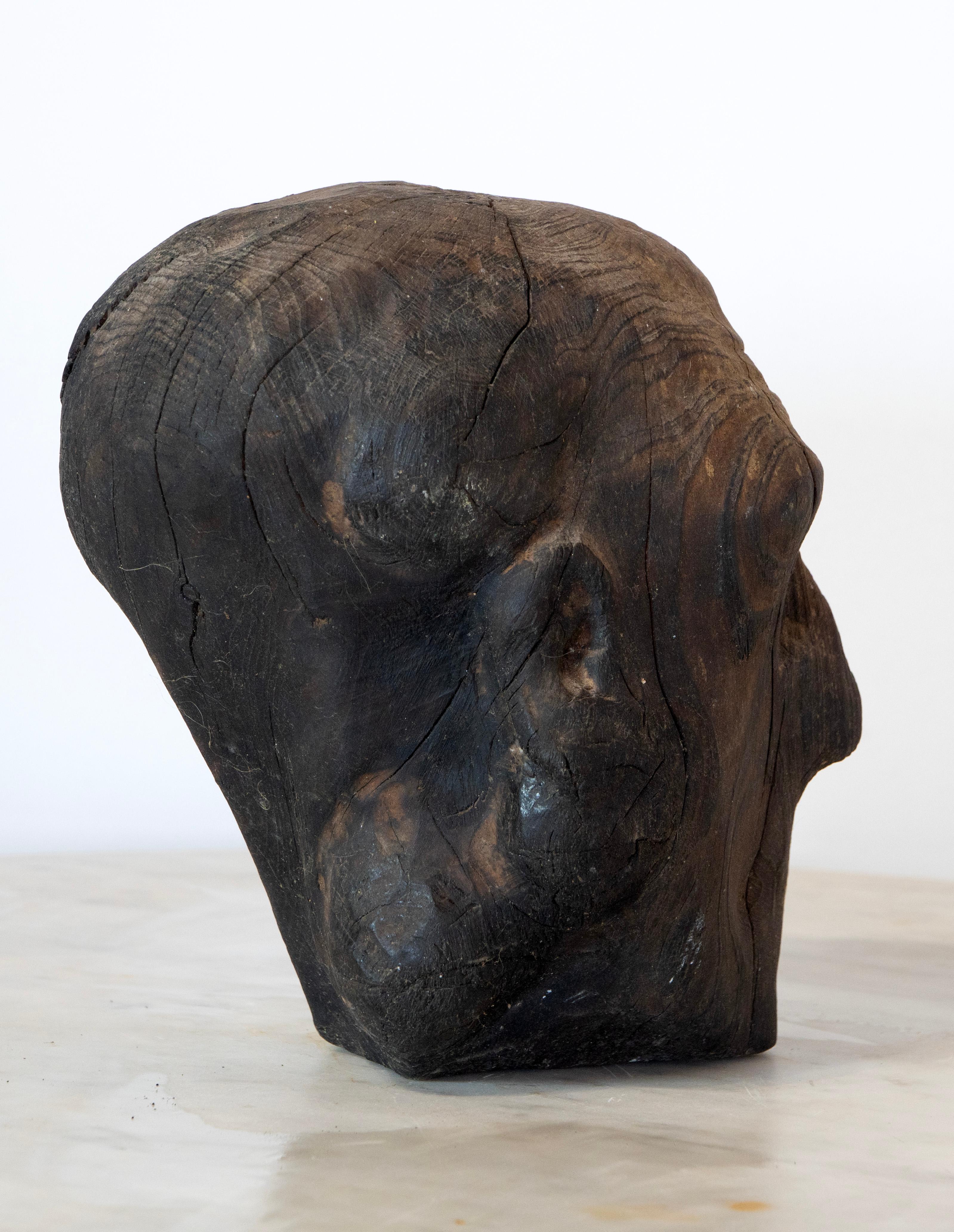 Charred Pine Head I. Yakisugi Burnt-Wood Bust Sculpture, Contemporary Conceptual For Sale 2