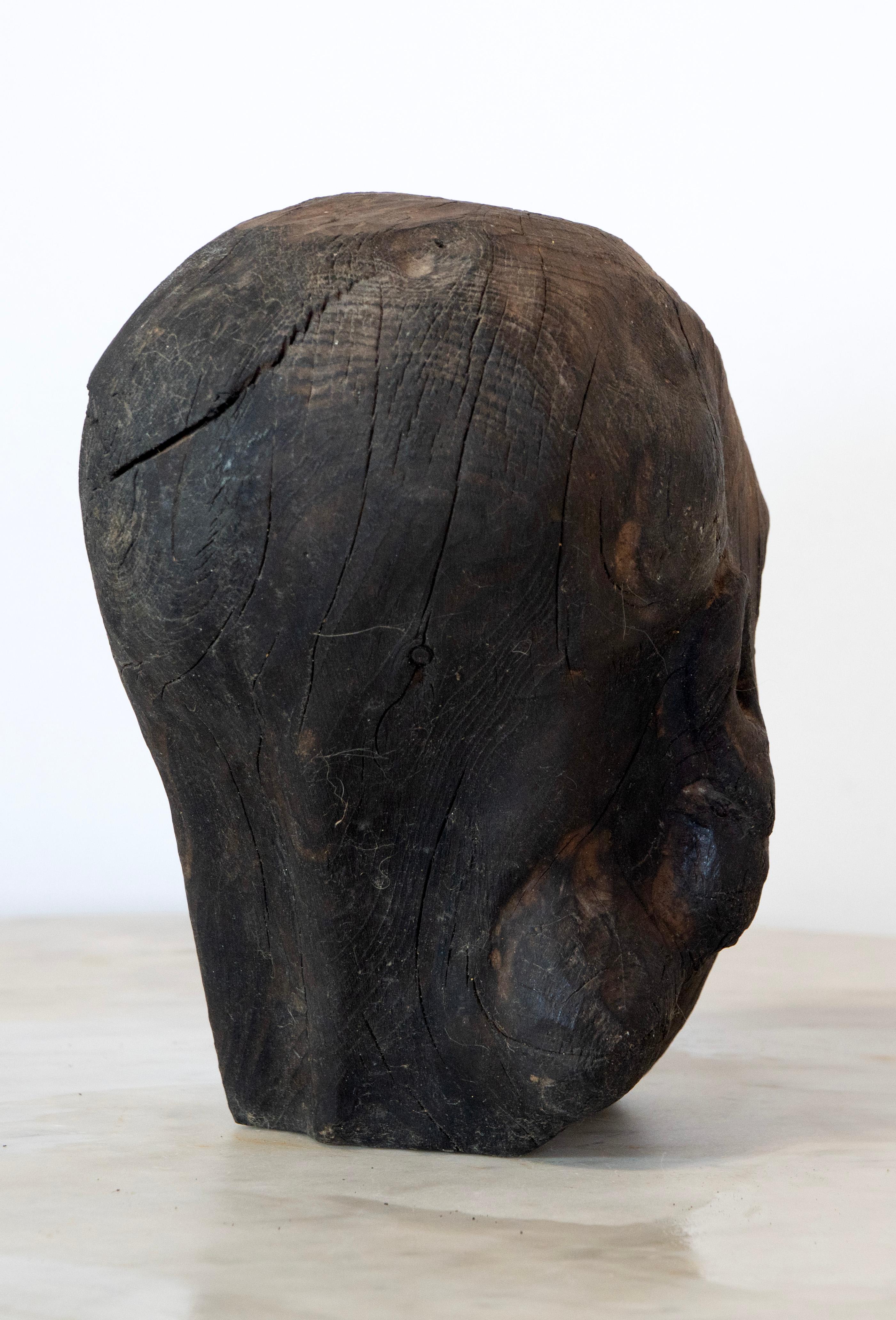 Charred Pine Head I. Yakisugi Burnt-Wood Bust Sculpture, Contemporary Conceptual For Sale 3