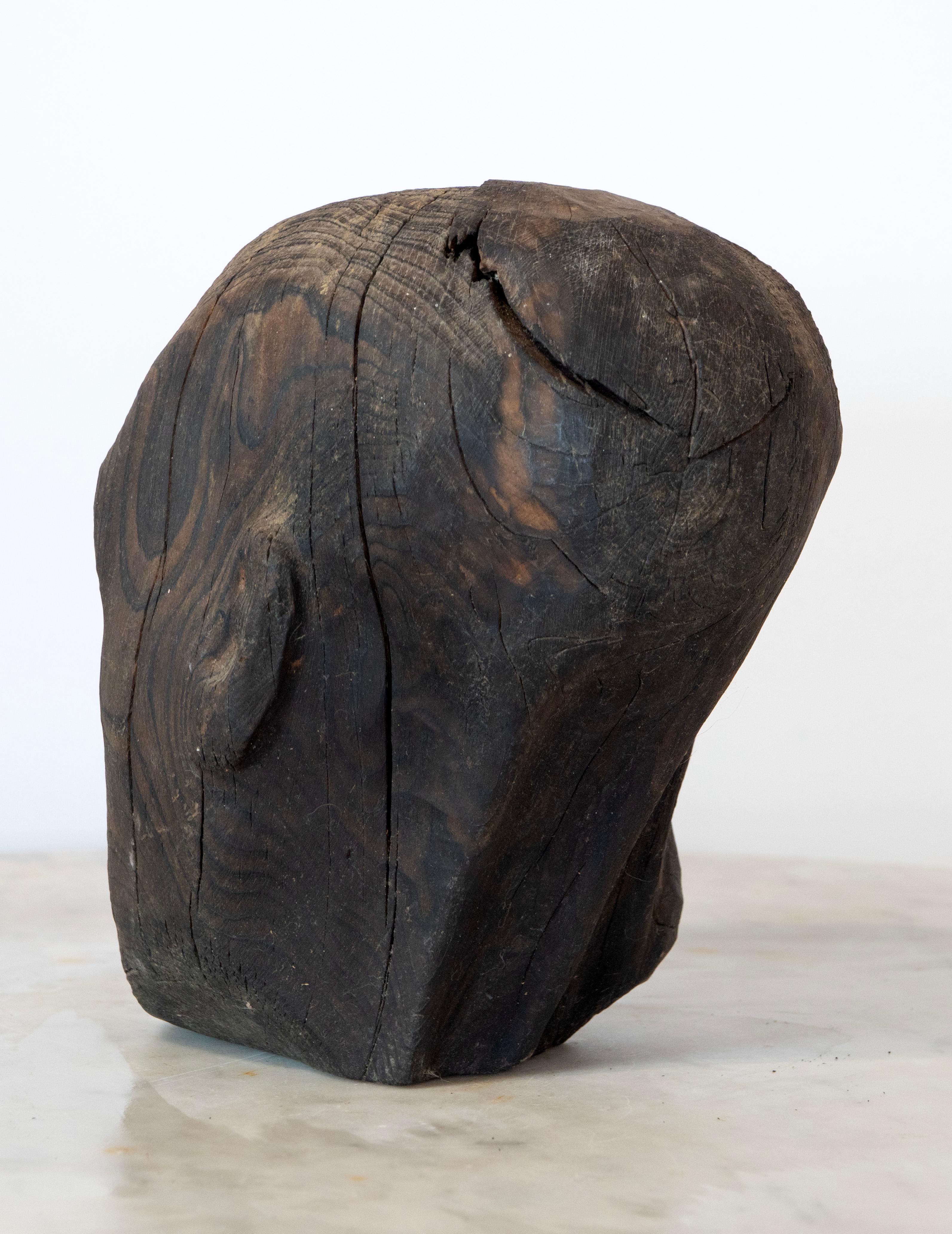 Charred Pine Head I. Yakisugi Burnt-Wood Bust Sculpture, Contemporary Conceptual For Sale 5