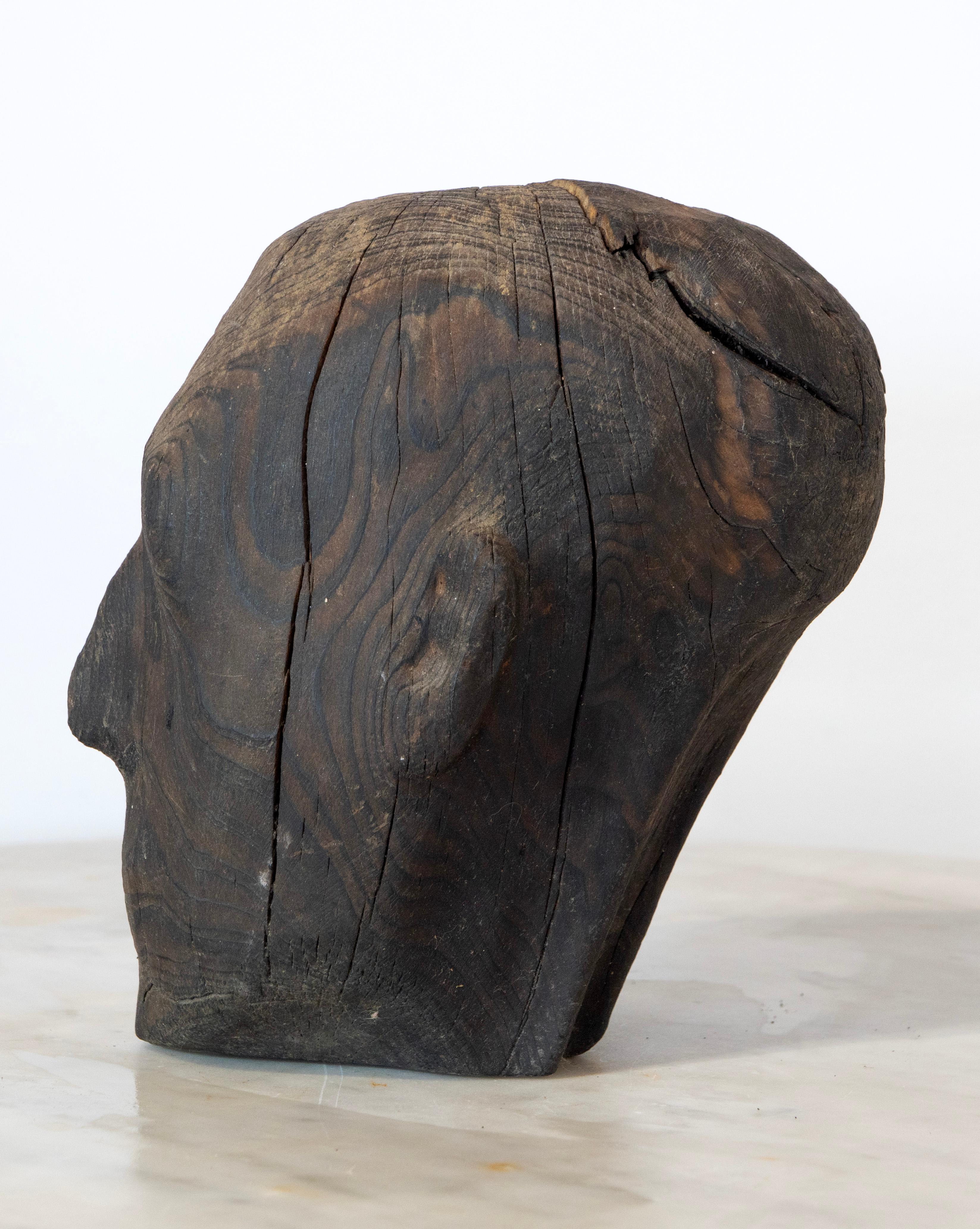 Charred Pine Head I. Yakisugi Burnt-Wood Bust Sculpture, Contemporary Conceptual For Sale 6