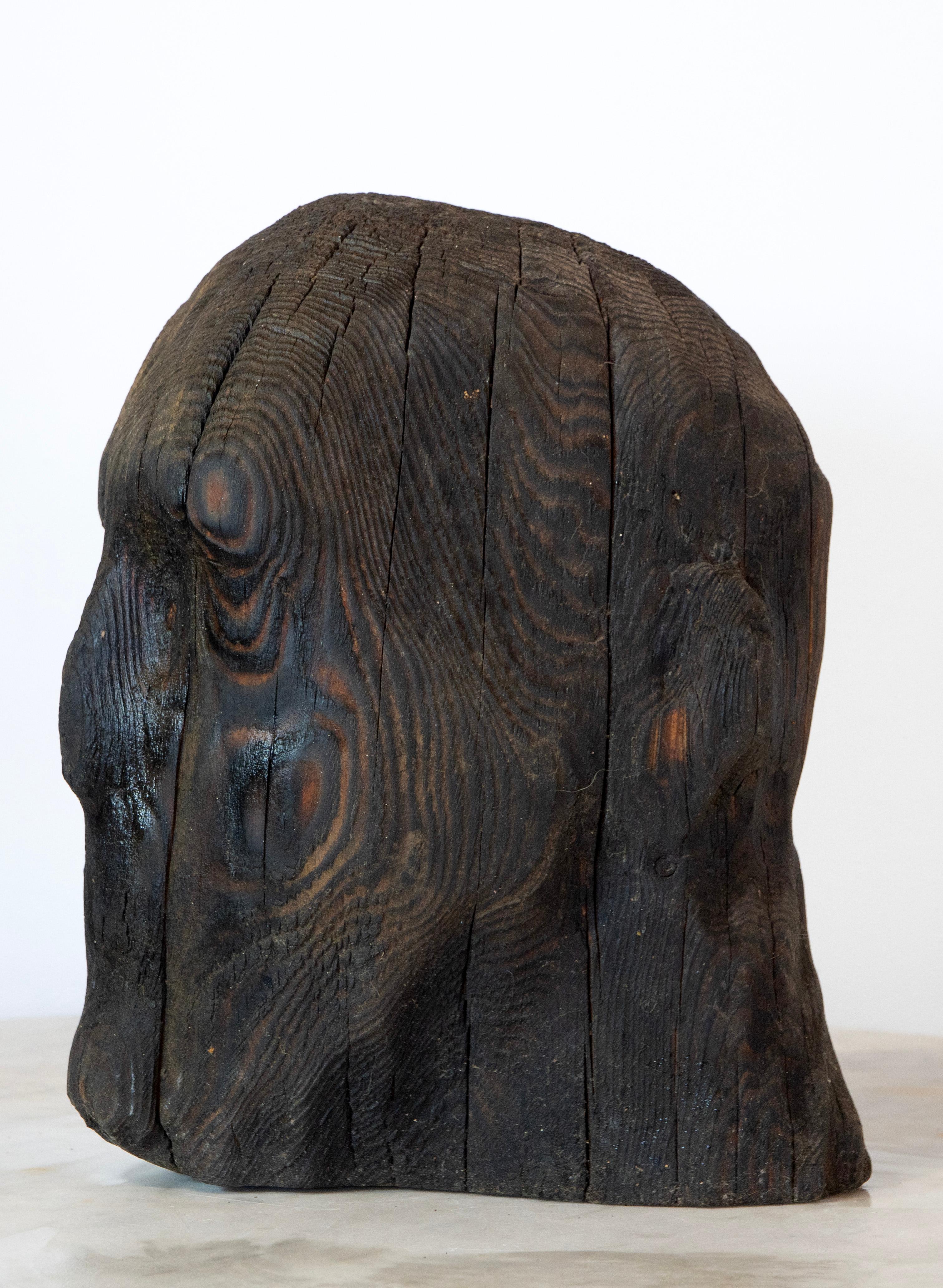 Charred Pine Head II. Yakisugi Burnt-Wood Sculpture, Pyrolyzed Wooden Bust For Sale 7