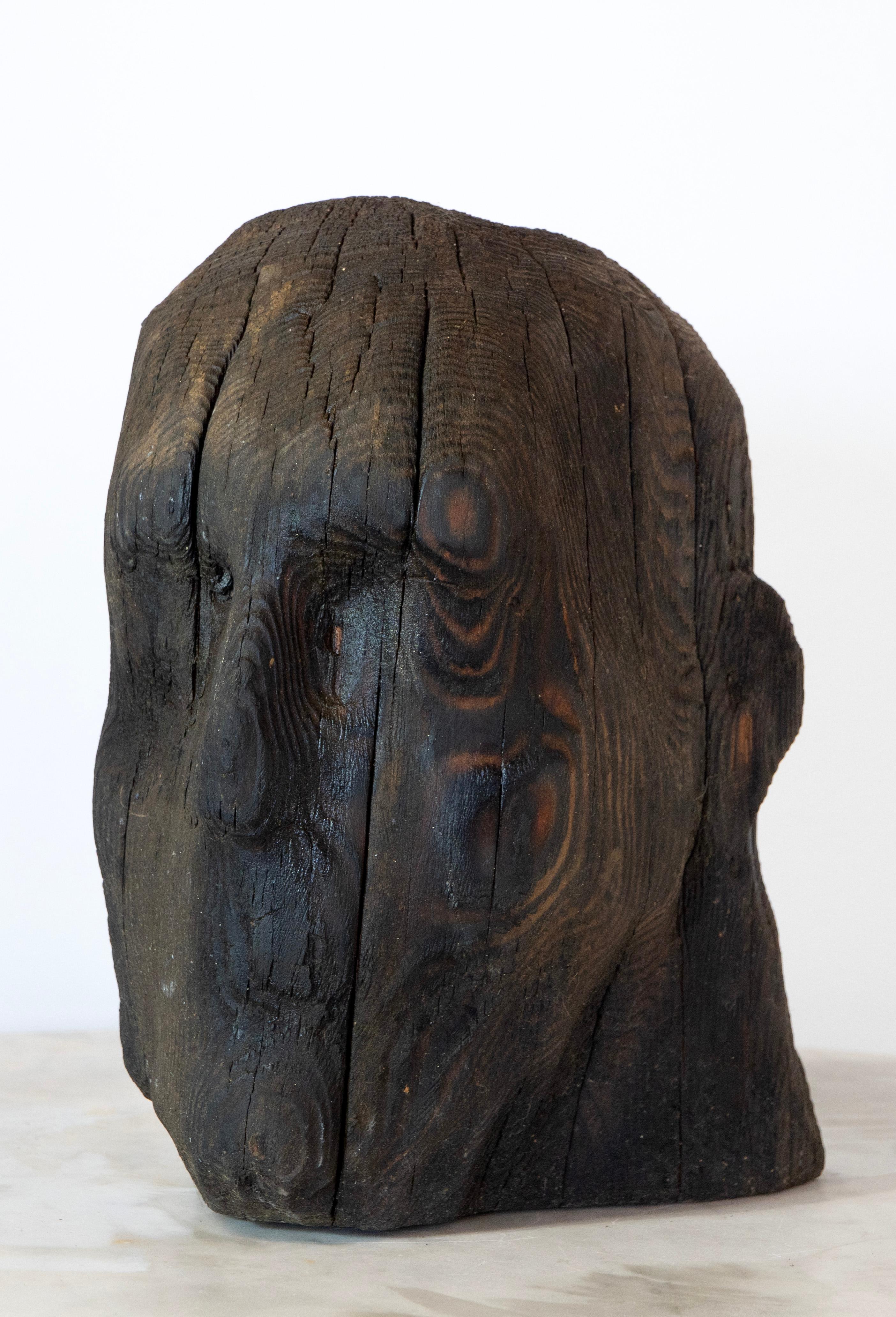 Charred Pine Head II. Yakisugi Burnt-Wood Sculpture, Pyrolyzed Wooden Bust For Sale 8