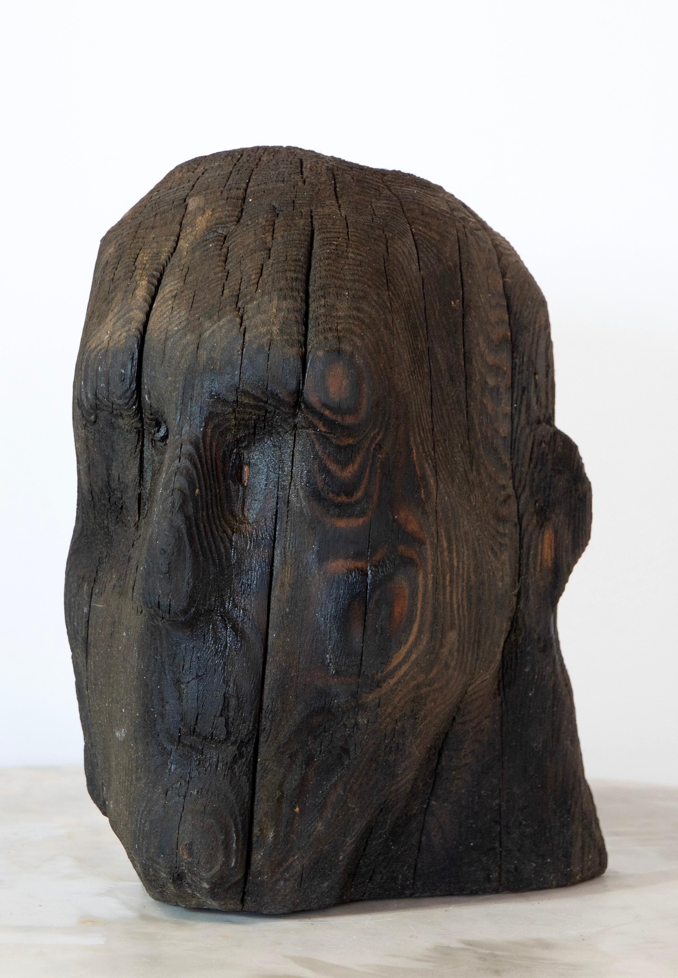 Charred Pine Head II. Yakisugi Burnt-Wood Sculpture, Pyrolyzed Wooden Bust For Sale 9